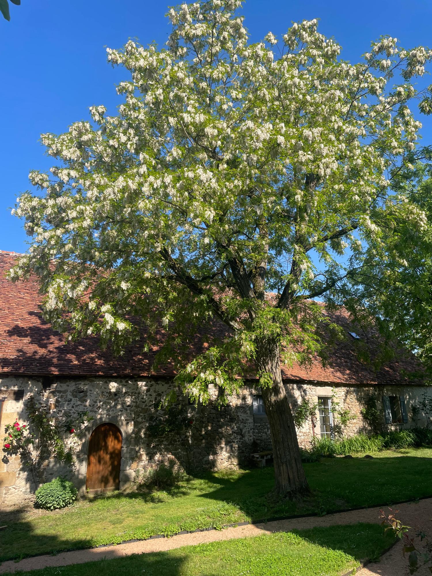  for sale camping Lussat Creuse 29