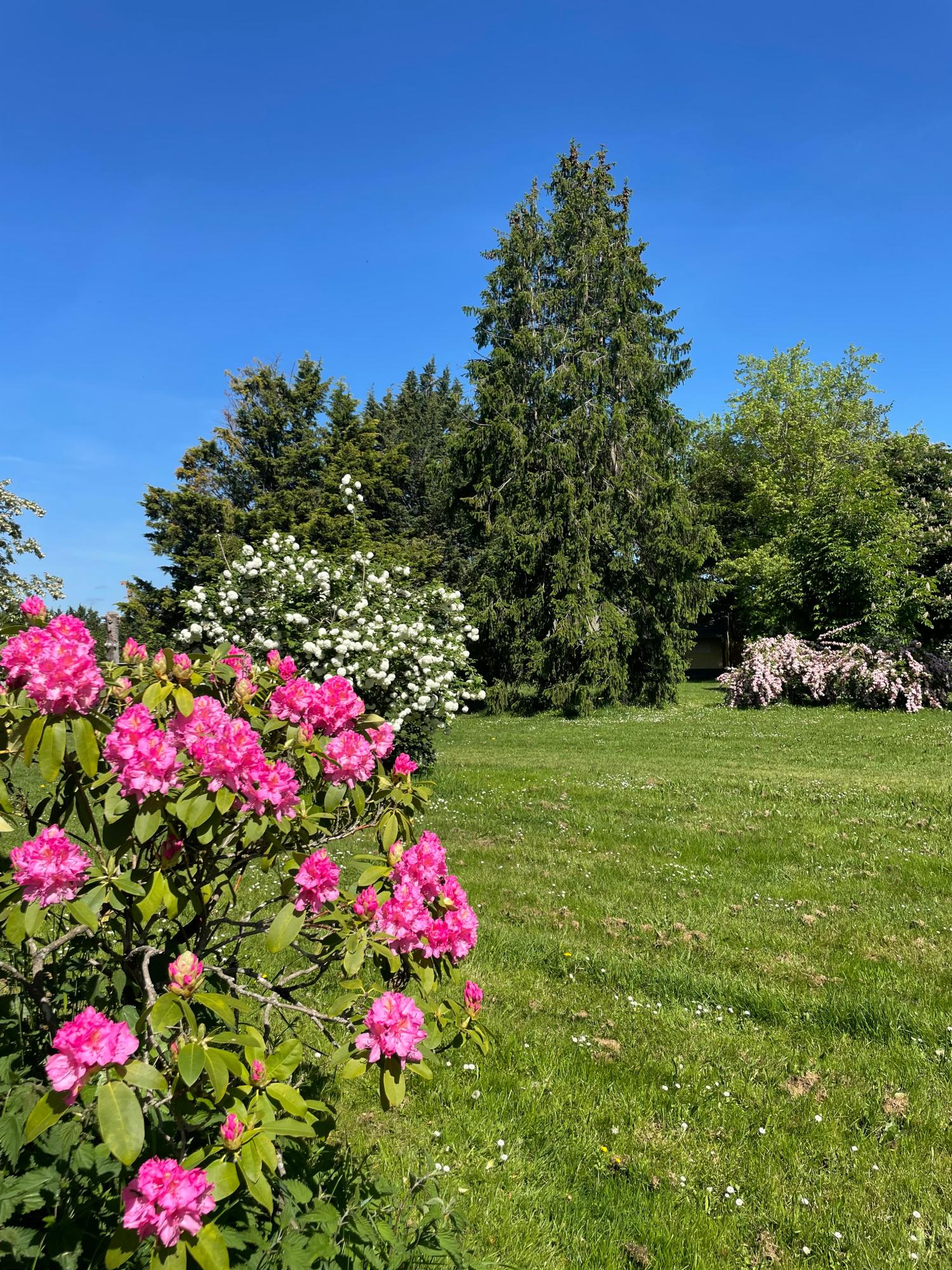  for sale camping Lussat Creuse 41