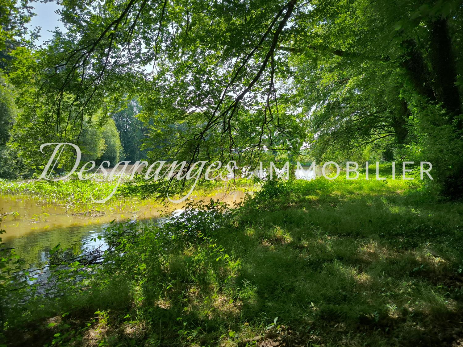  for sale estate Dussac Dordogne 23