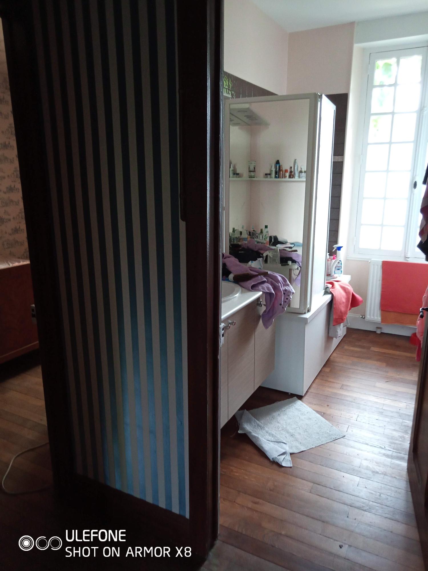  for sale estate Fresne-Saint-Mamès Haute-Saône 10