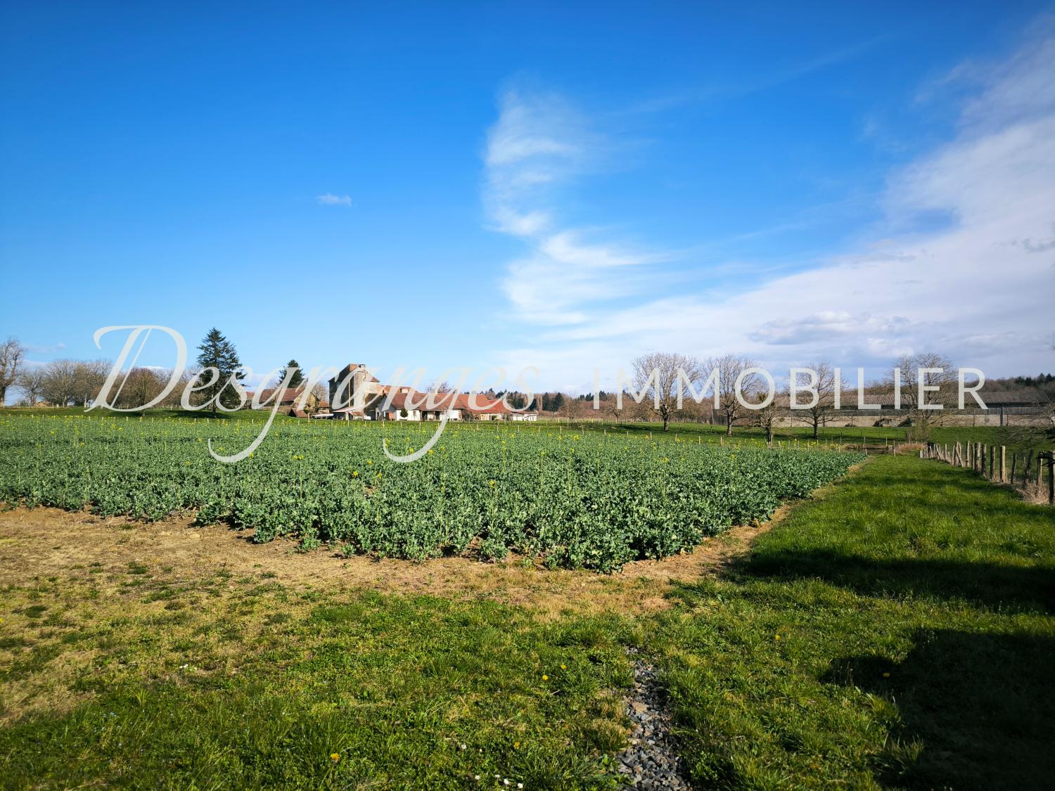  for sale farm Payzac Dordogne 4