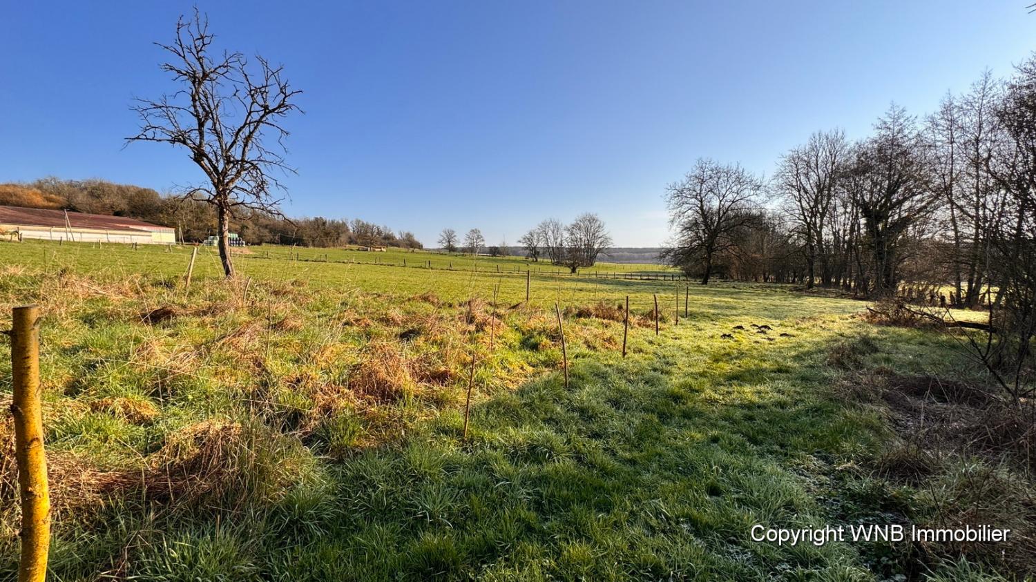  for sale village farm Serécourt Vosges 6