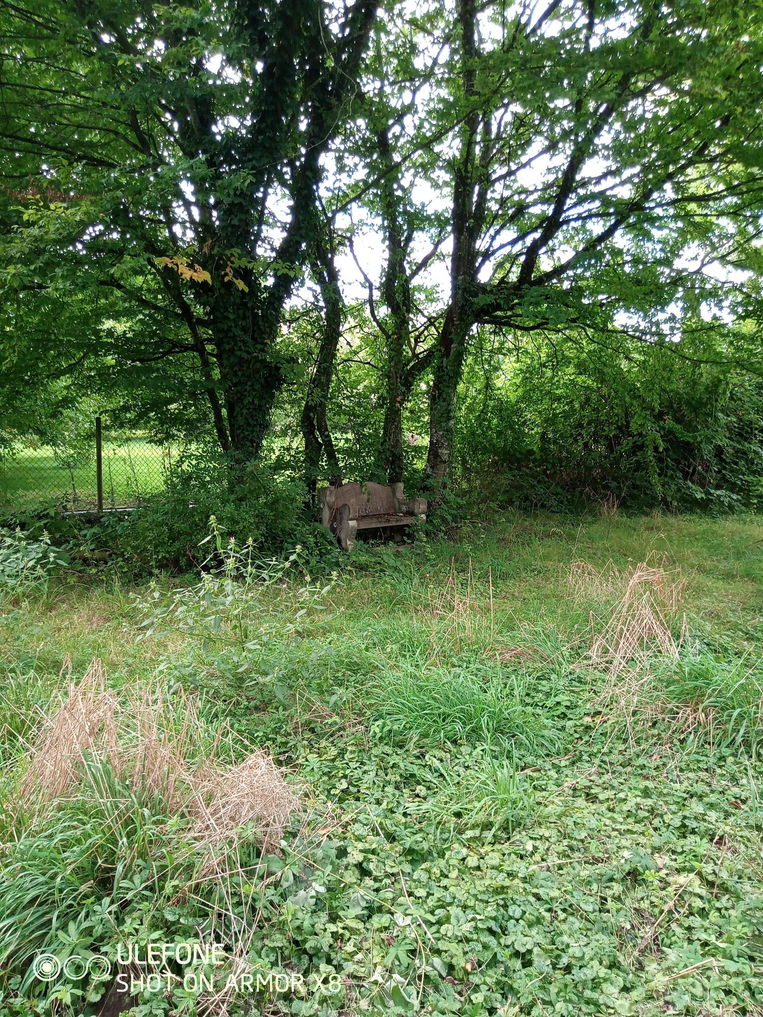  for sale estate Fresne-Saint-Mamès Haute-Saône 25