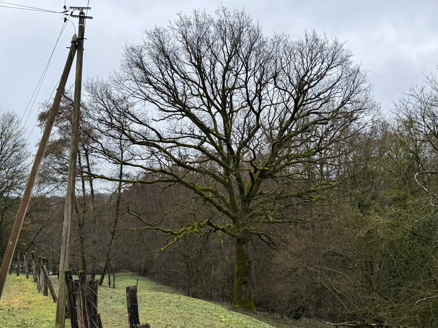  for sale bed and breakfast Viviers-le-Gras Vosges 45