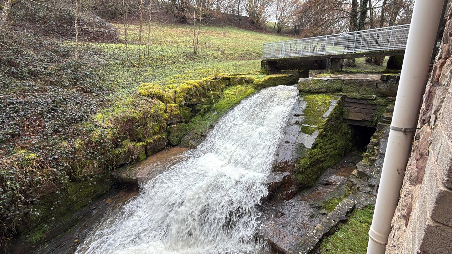  for sale bed and breakfast Viviers-le-Gras Vosges 5