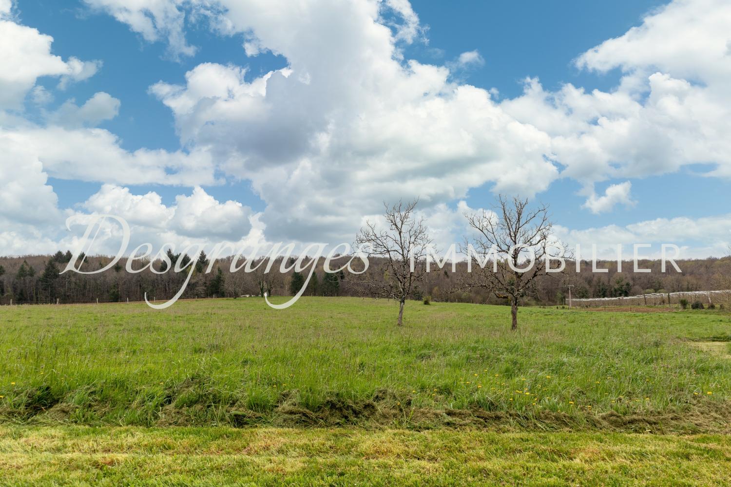  for sale estate Savignac-Lédrier Dordogne 17