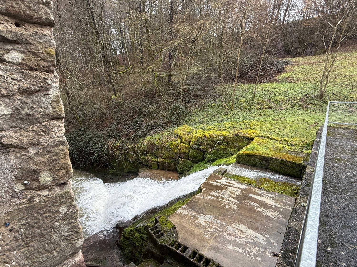  for sale bed and breakfast Viviers-le-Gras Vosges 15