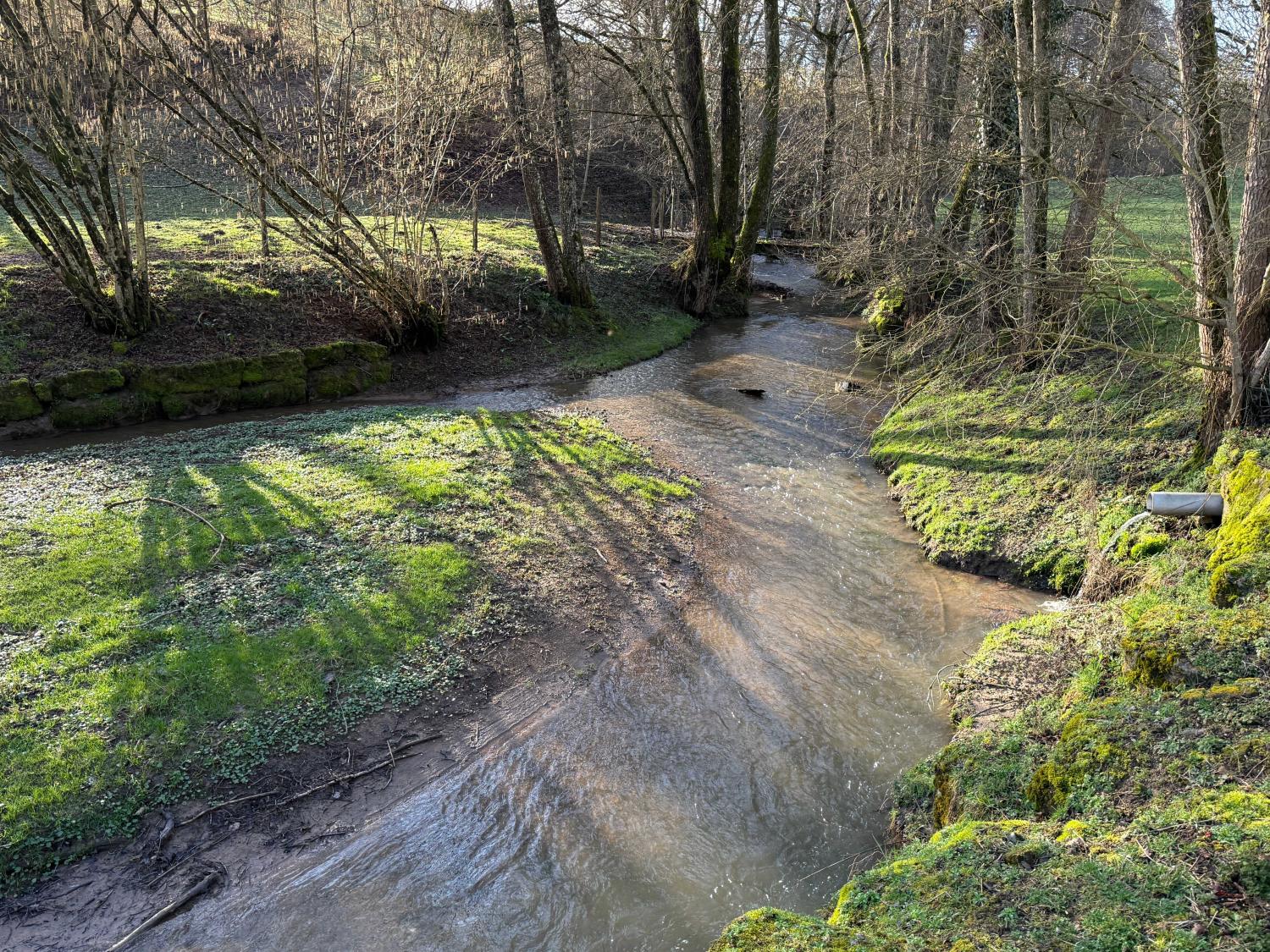  for sale bed and breakfast Viviers-le-Gras Vosges 47