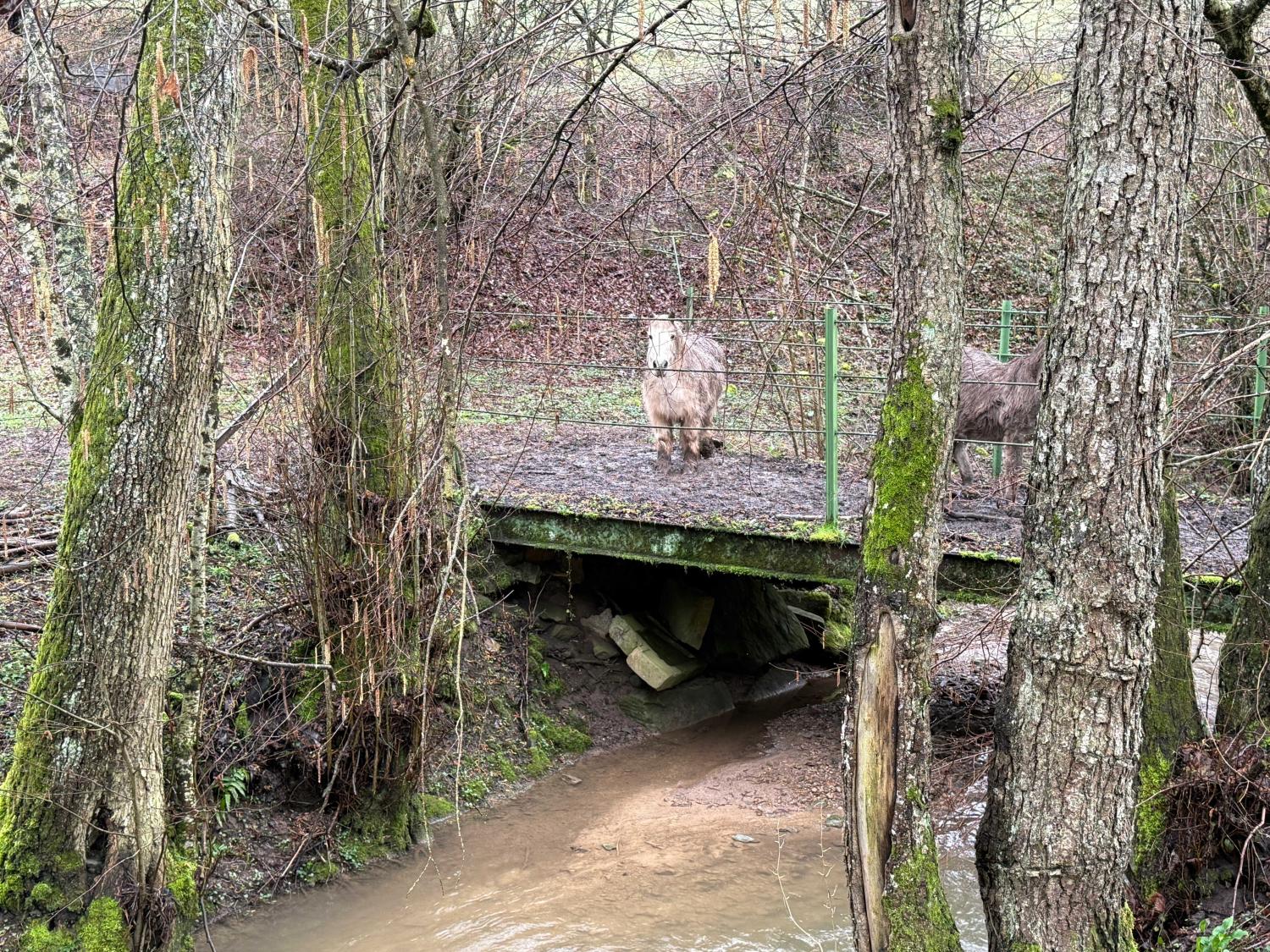  for sale bed and breakfast Viviers-le-Gras Vosges 44
