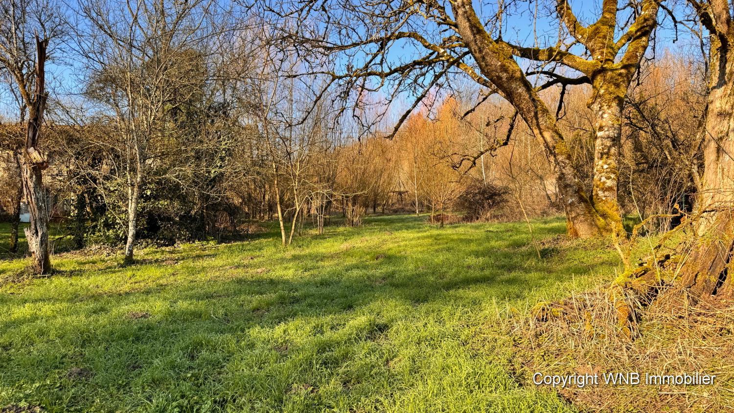  for sale village farm Serécourt Vosges 11