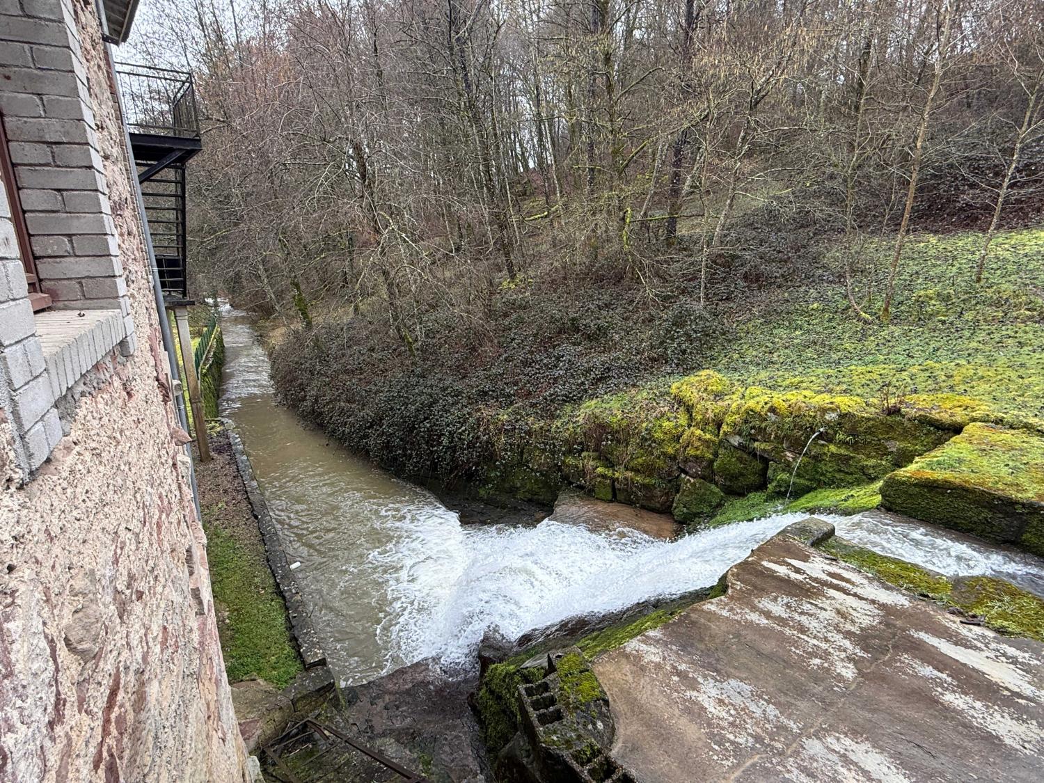  for sale bed and breakfast Viviers-le-Gras Vosges 7