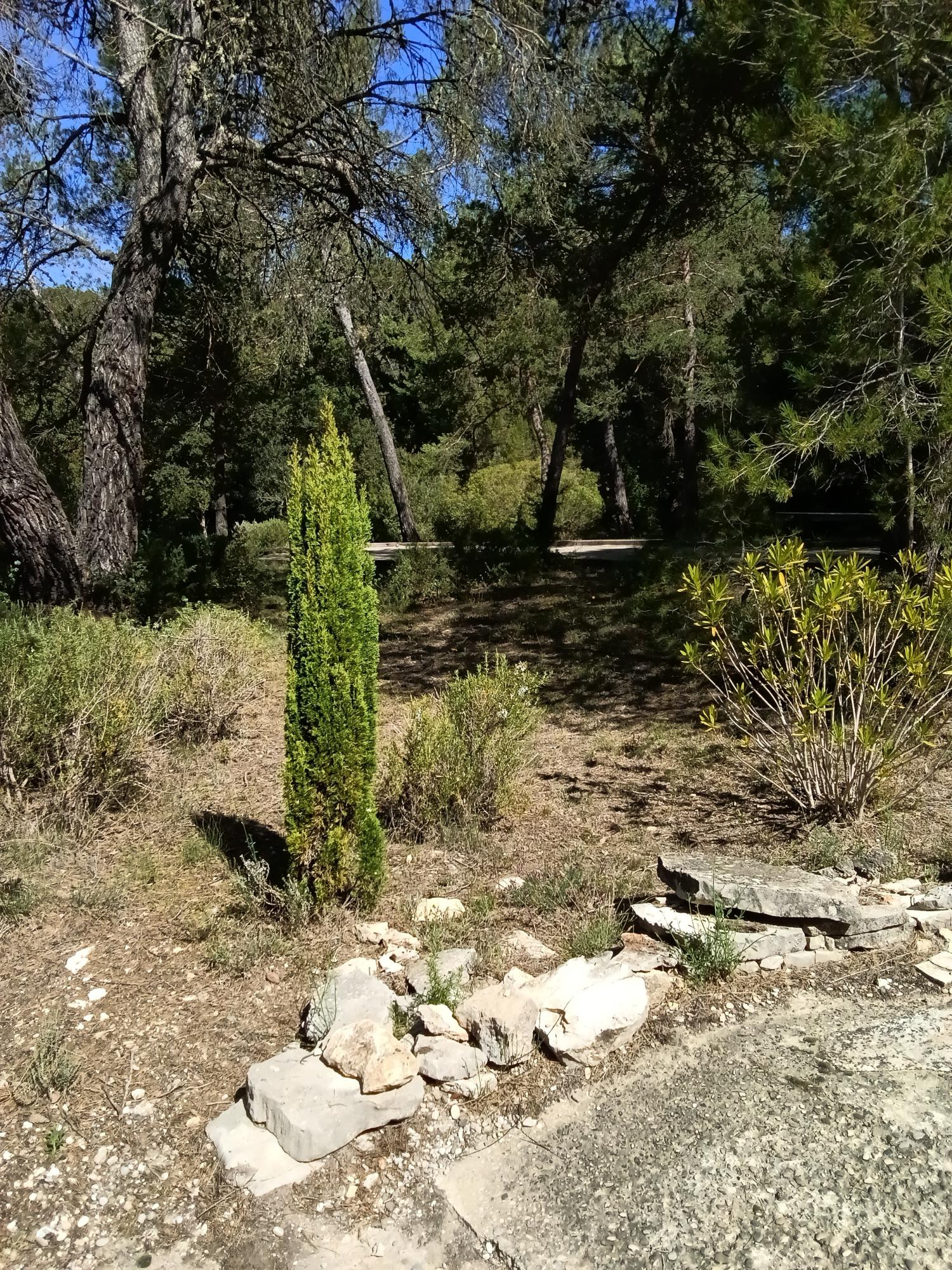 for sale estate Ginasservis Var 27