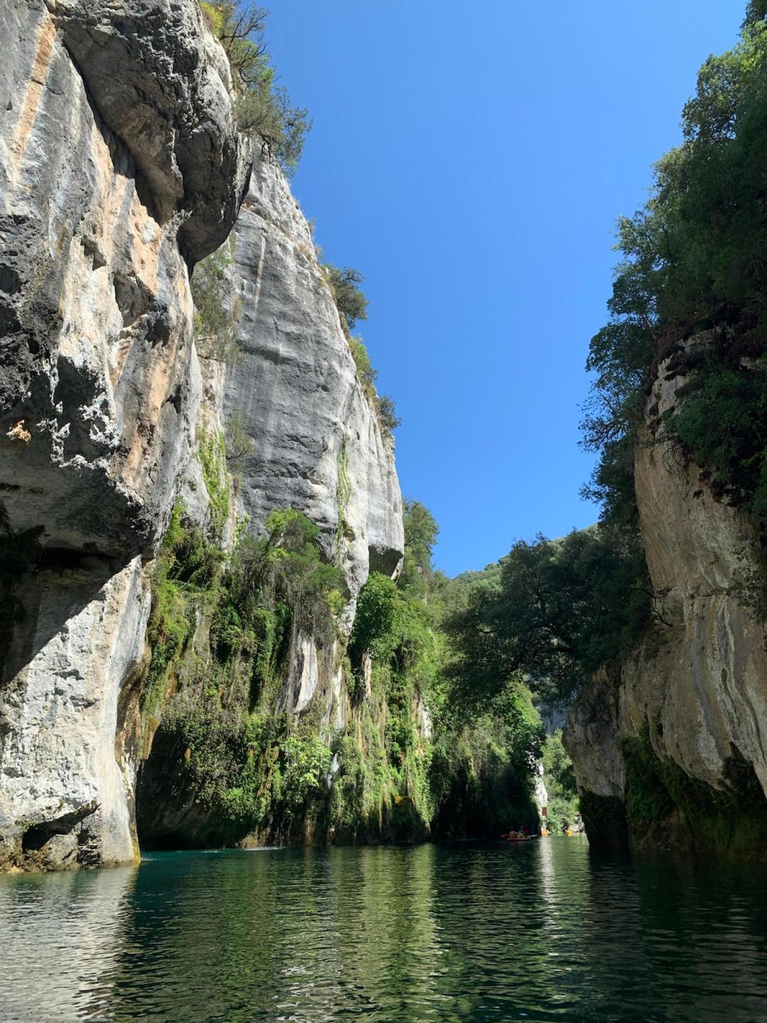 for sale estate Ginasservis Var 89