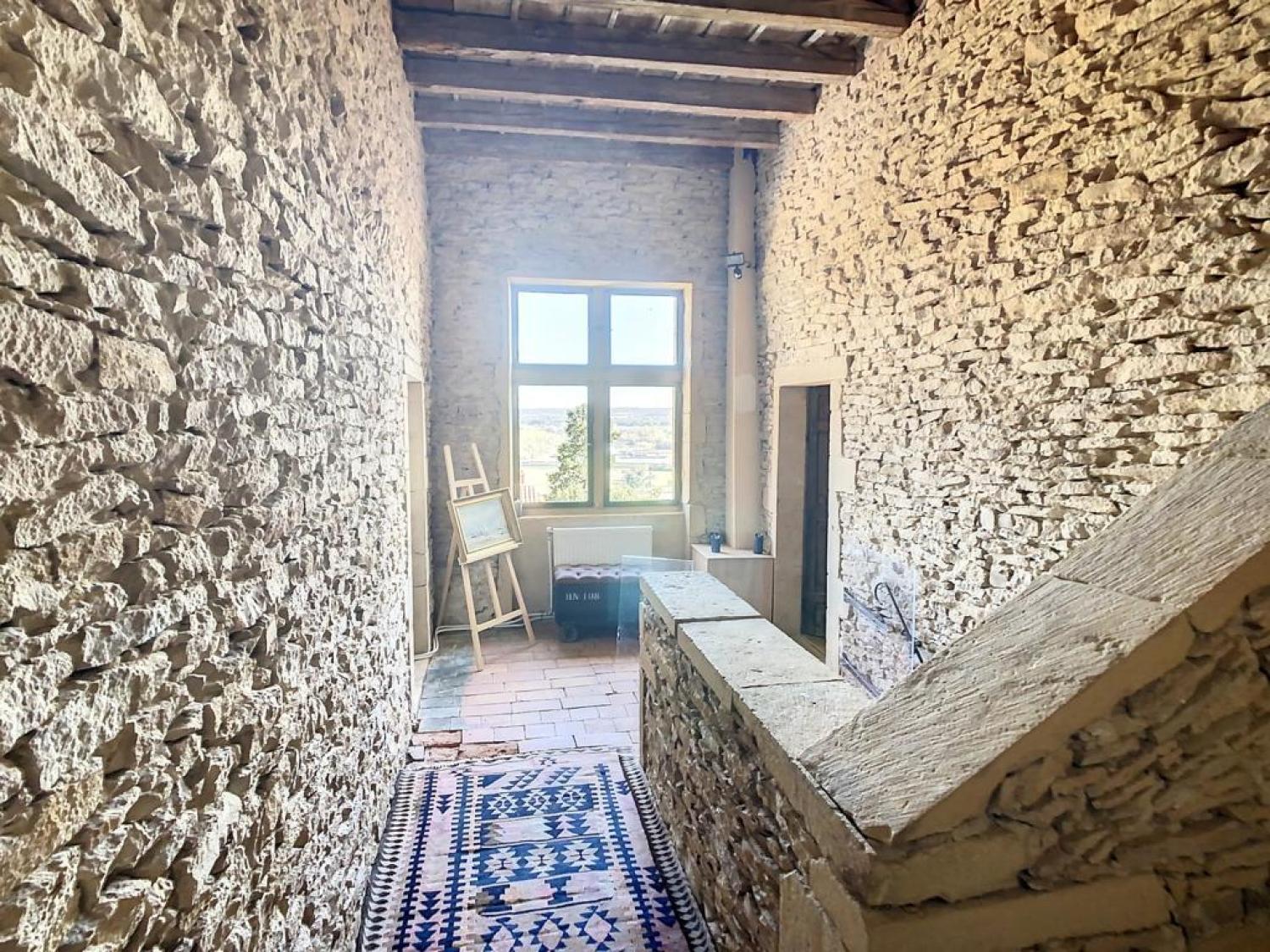  for sale house Pommiers Rhône 4