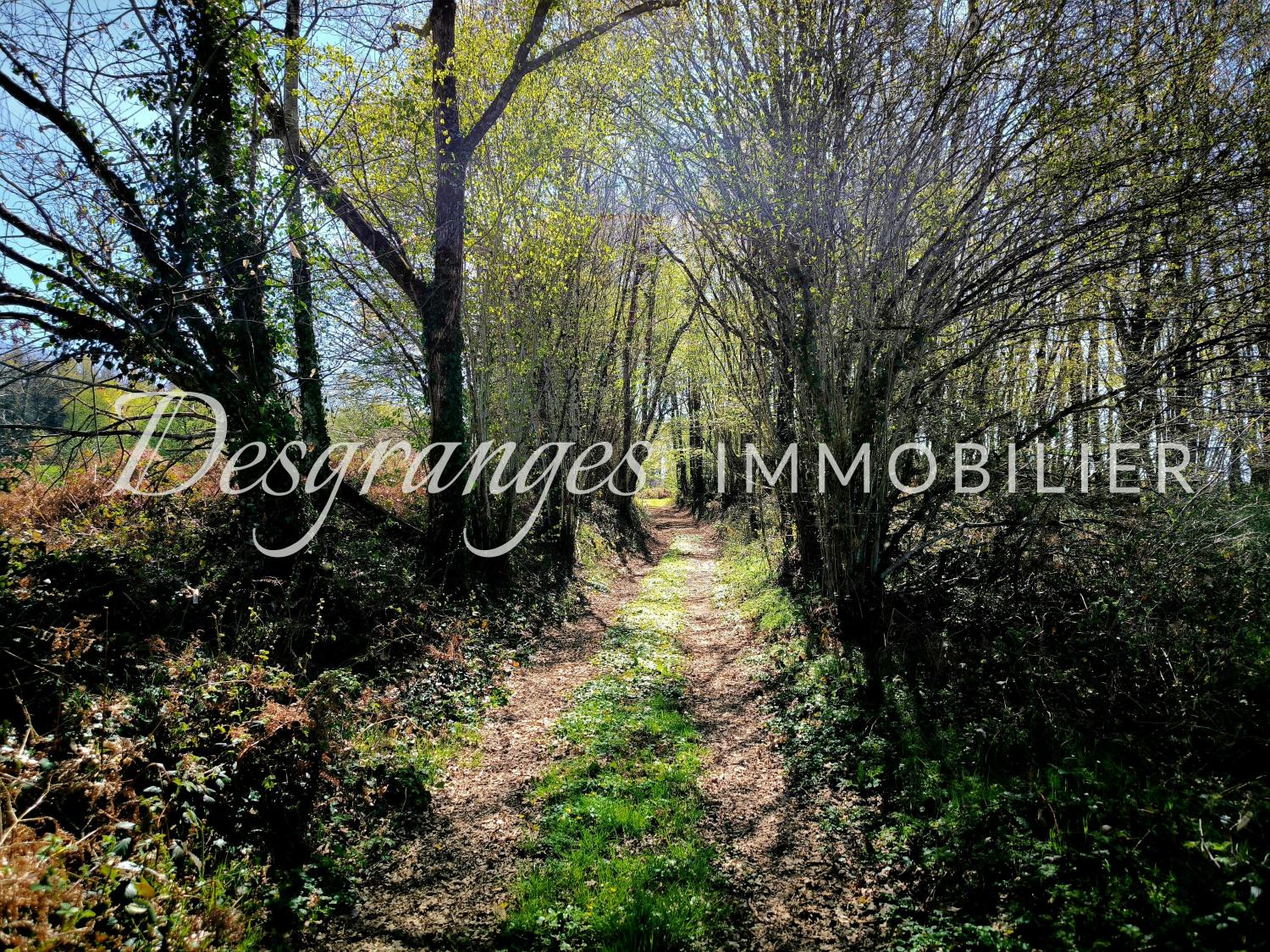  for sale estate Payzac Dordogne 31