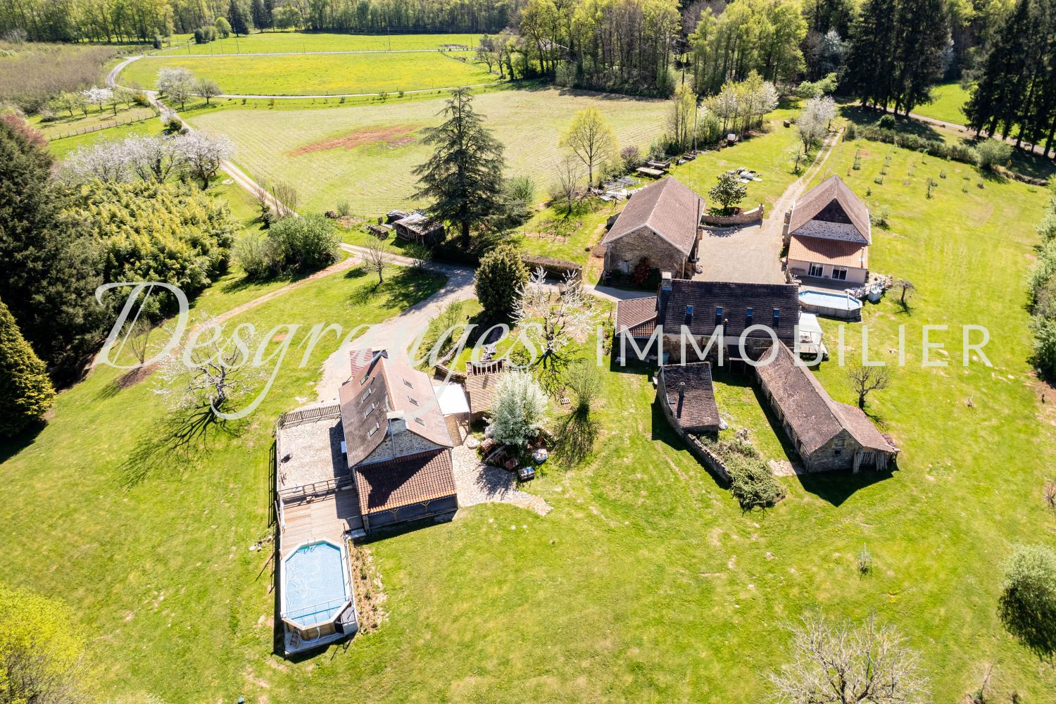  for sale estate Payzac Dordogne 24