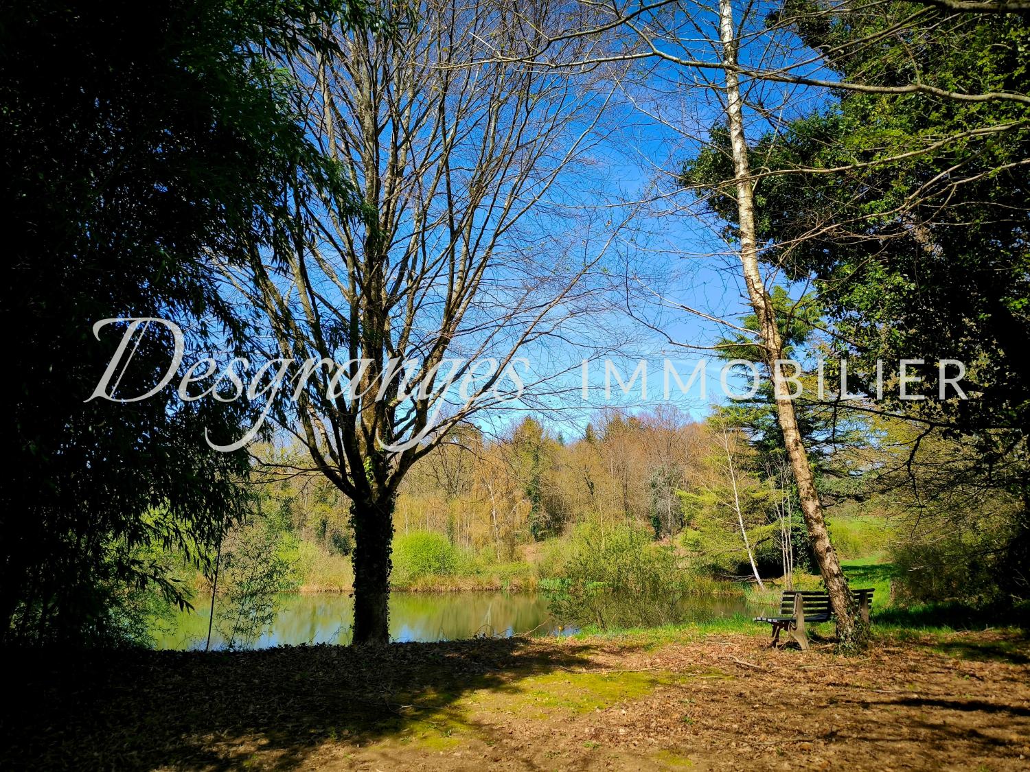  for sale estate Payzac Dordogne 19