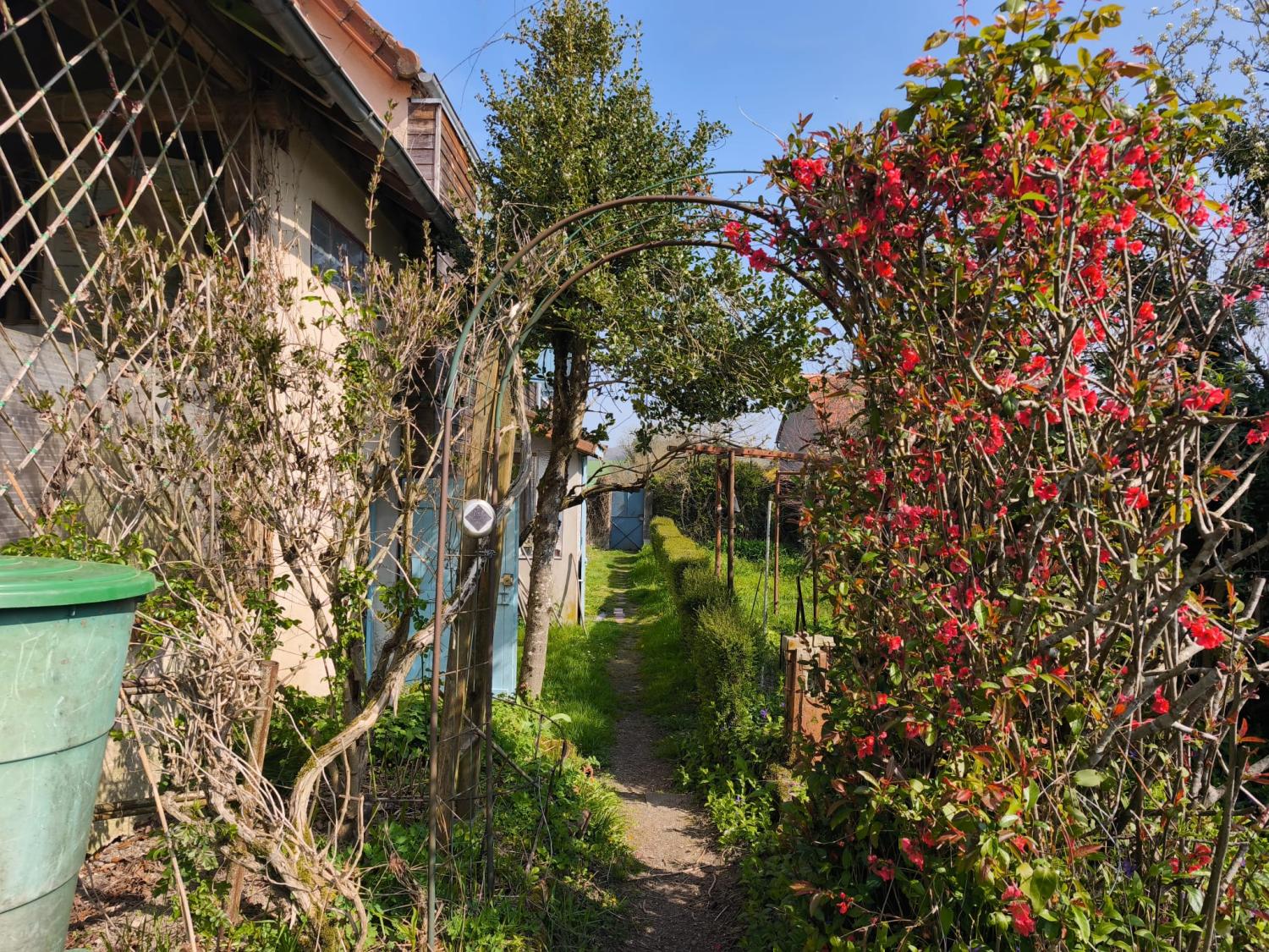  for sale eco house Tazilly Nièvre 17