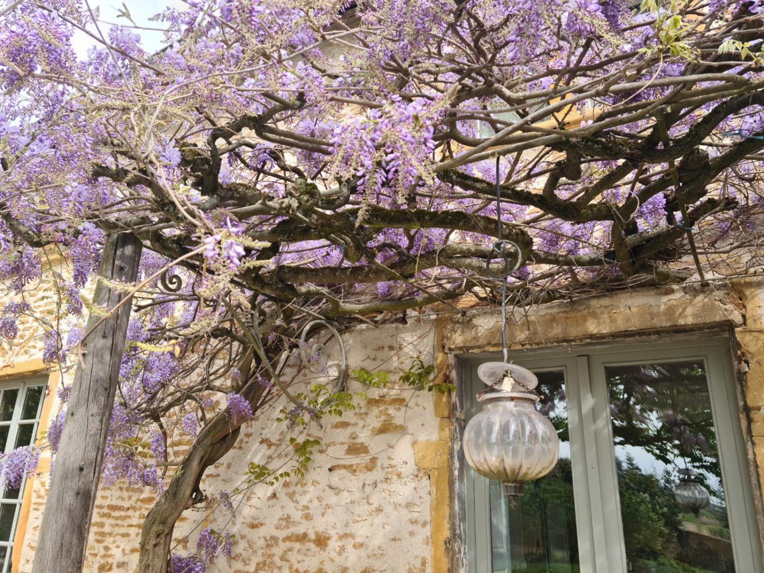  for sale house Pommiers Rhône 6