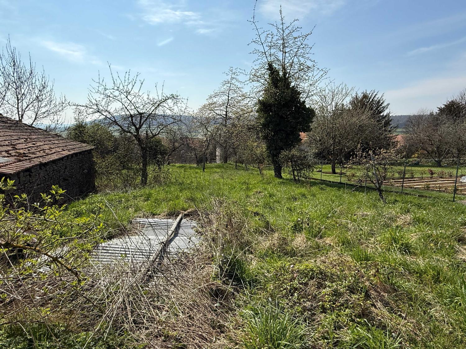 for sale village farm Beaufremont Vosges 8