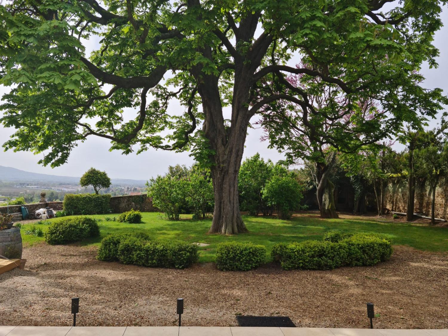  for sale house Pommiers Rhône 5