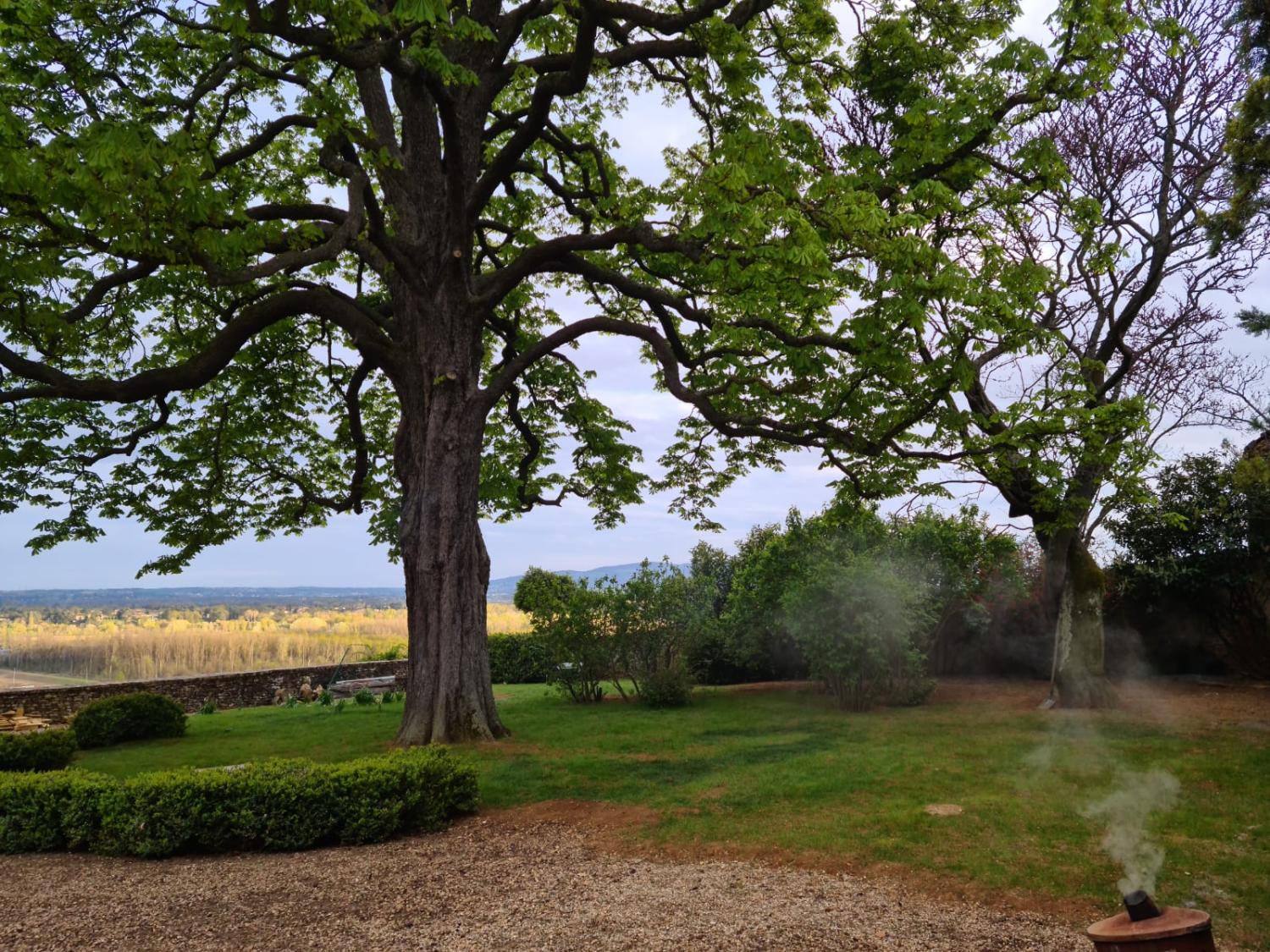  for sale house Pommiers Rhône 23