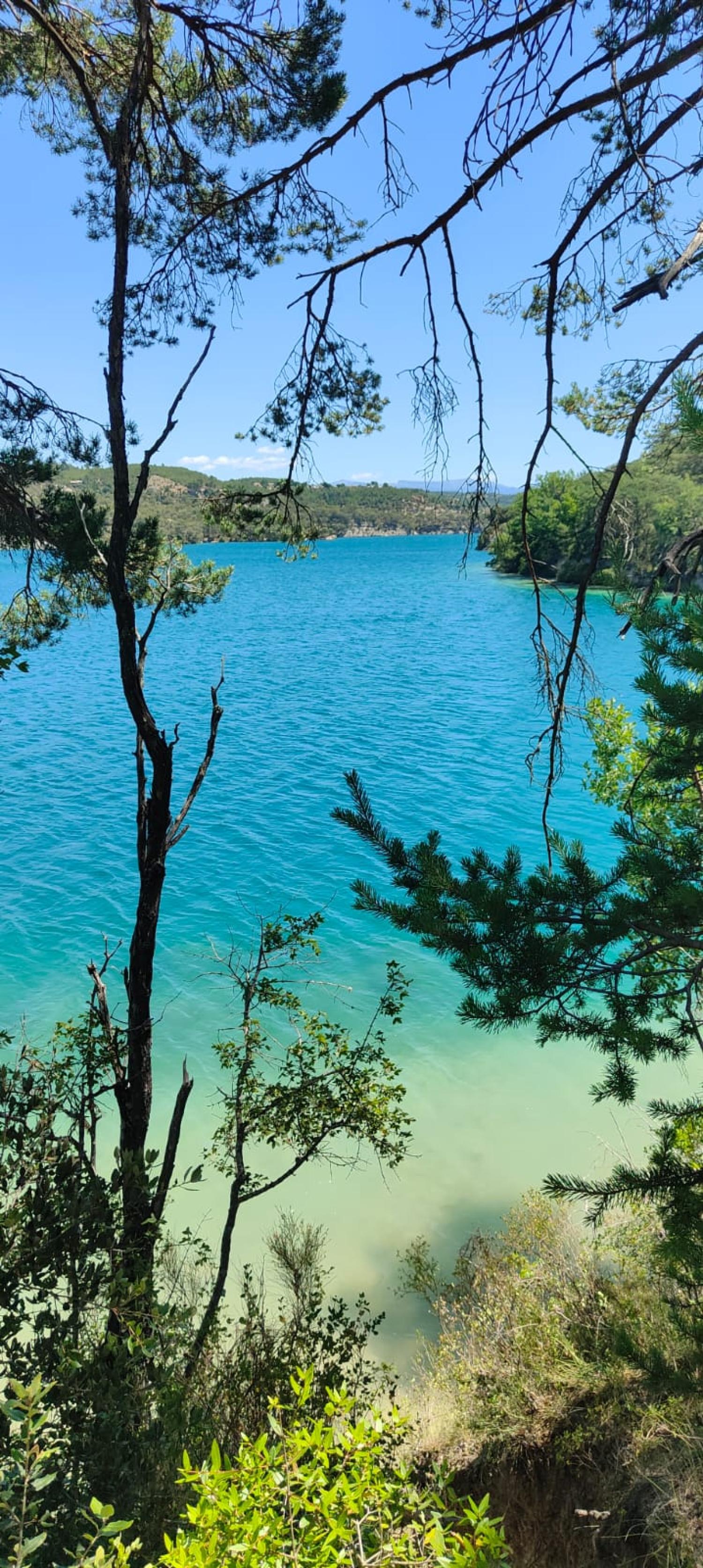 for sale estate Ginasservis Var 95