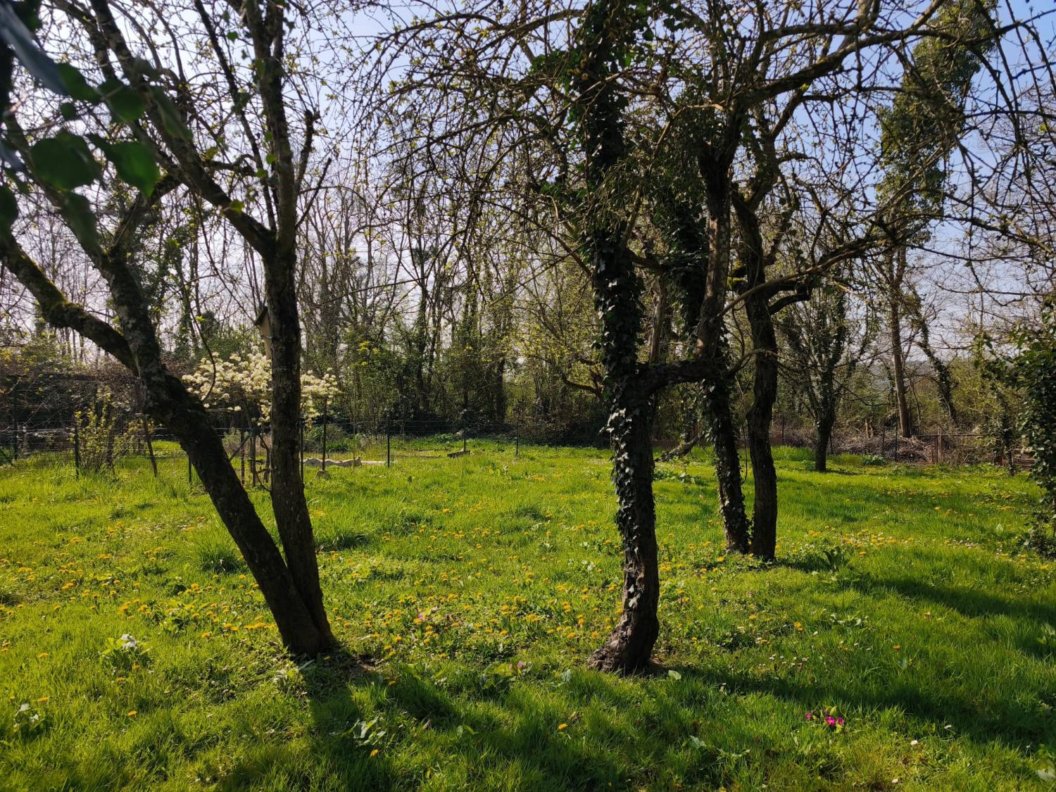  for sale eco house Tazilly Nièvre 19