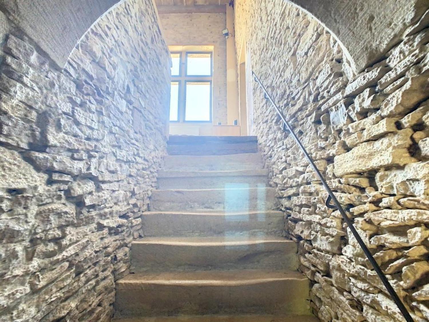  for sale house Pommiers Rhône 2