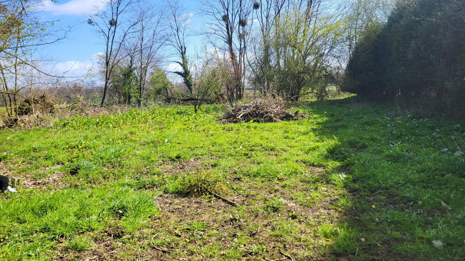  for sale detached house Maupertuis Manche 4