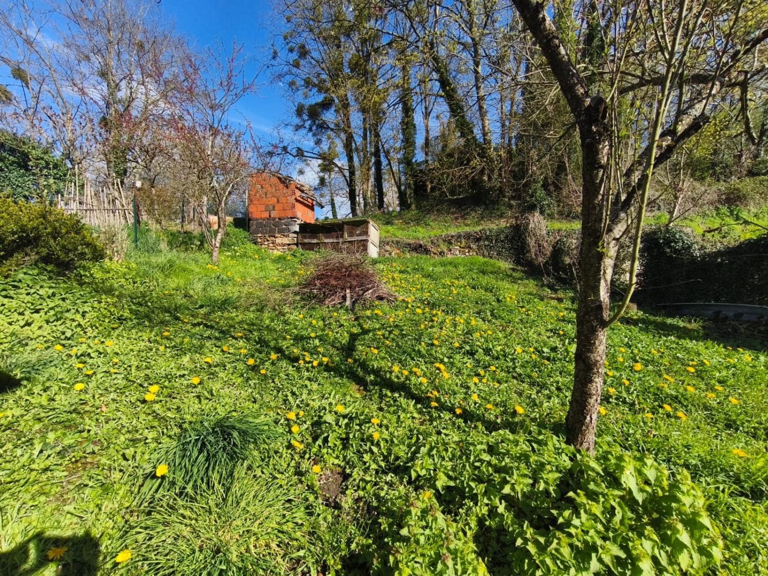  for sale village house Moulins-Engilbert Nièvre 10