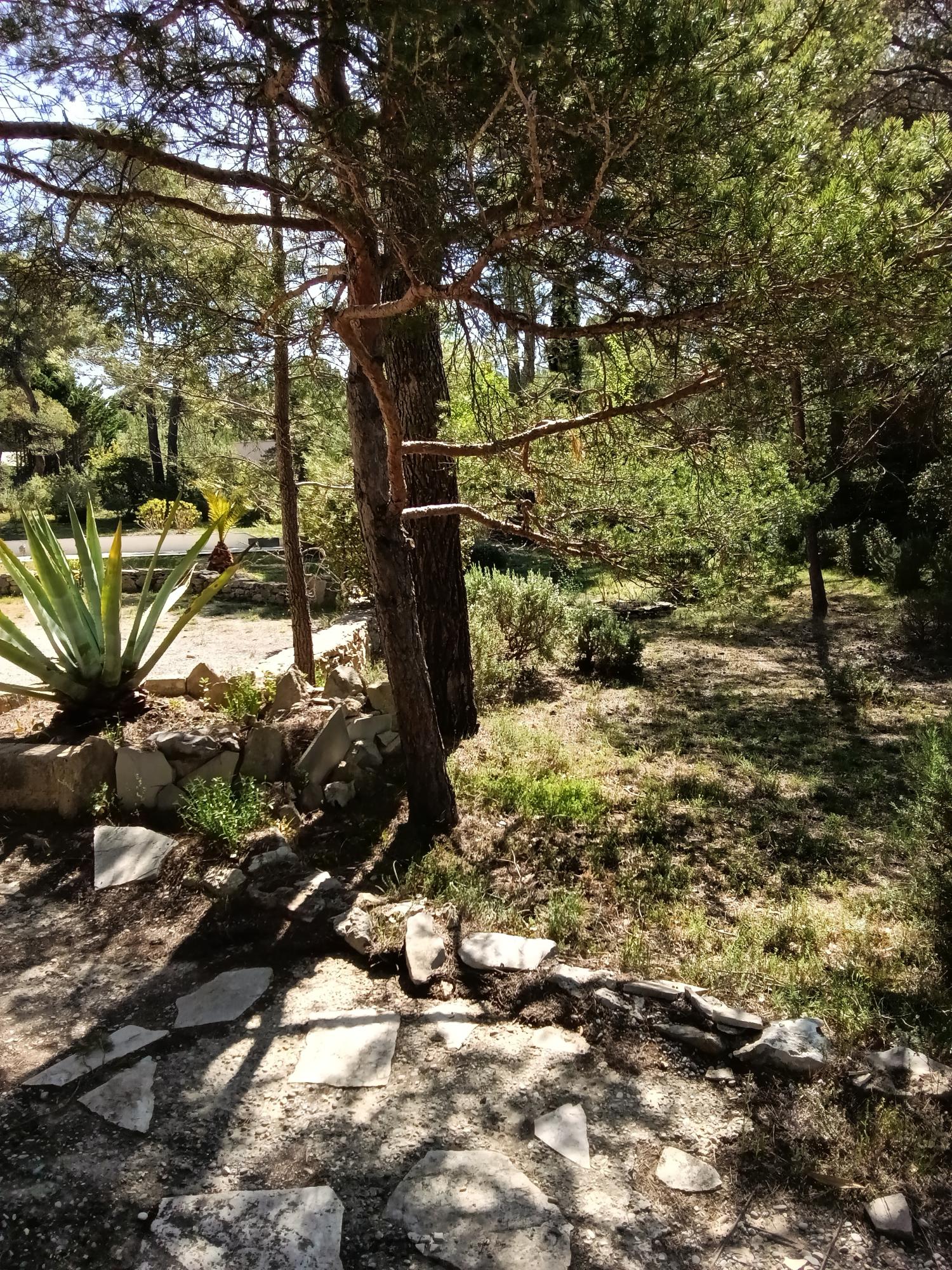 for sale estate Ginasservis Var 28