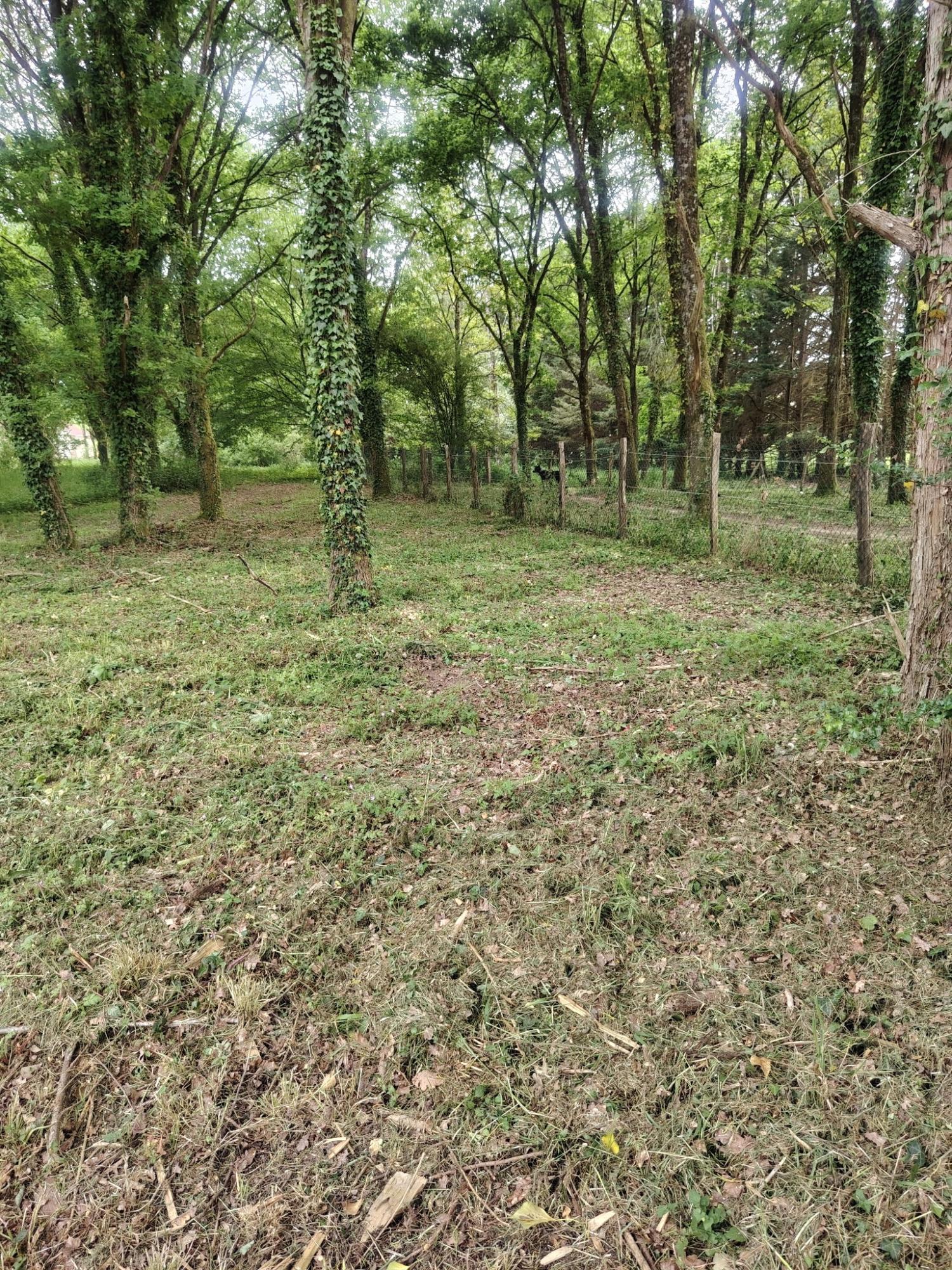  for sale house Saint-Malo-en-Donziois Nièvre 23