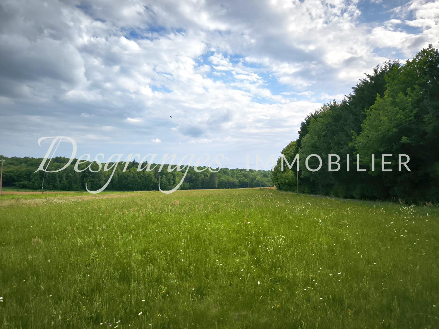  for sale building land Payzac Dordogne 5