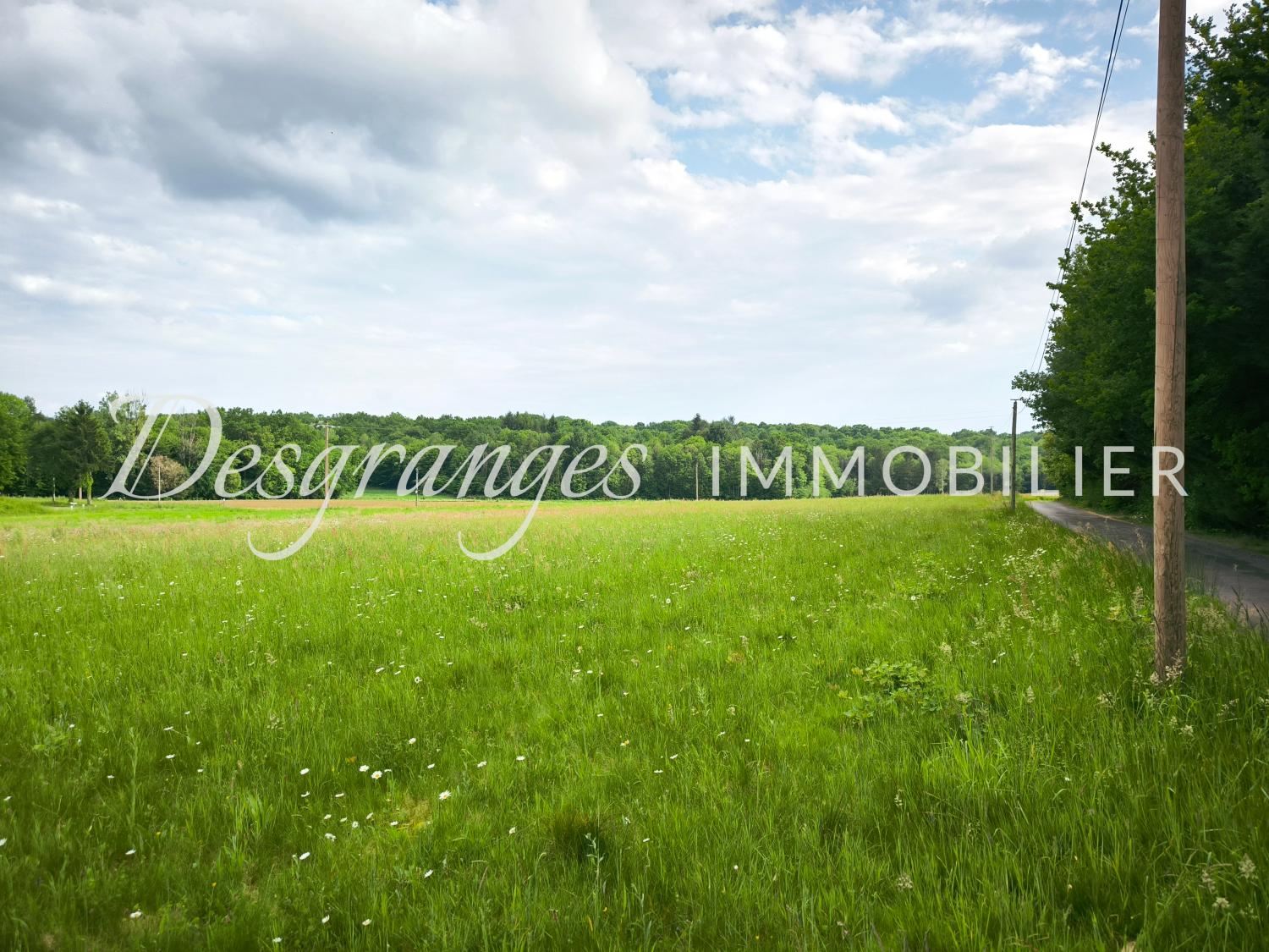  for sale building land Payzac Dordogne 2