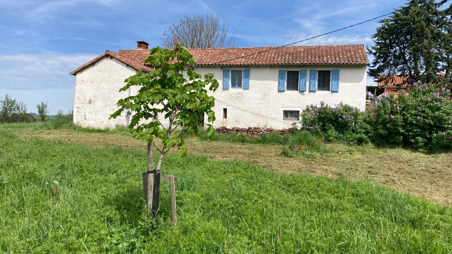  for sale farm Saint-Sernin-sur-Rance Aveyron 2