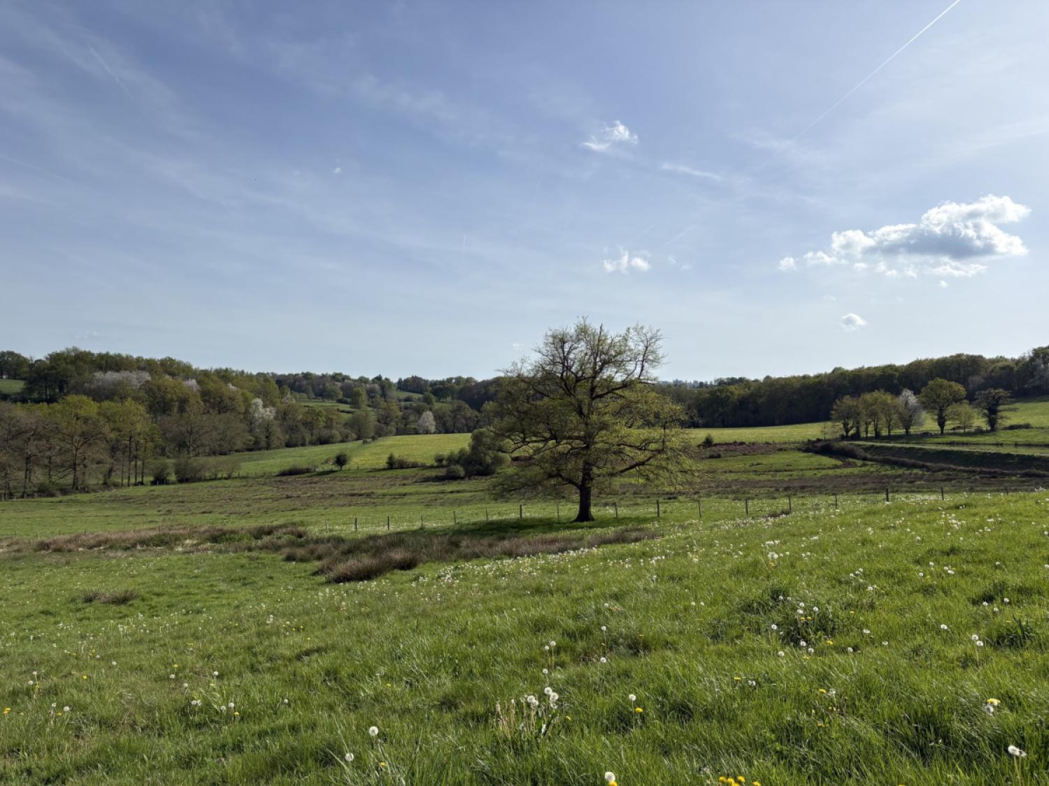 for sale property with holiday home Nexon Haute-Vienne 4