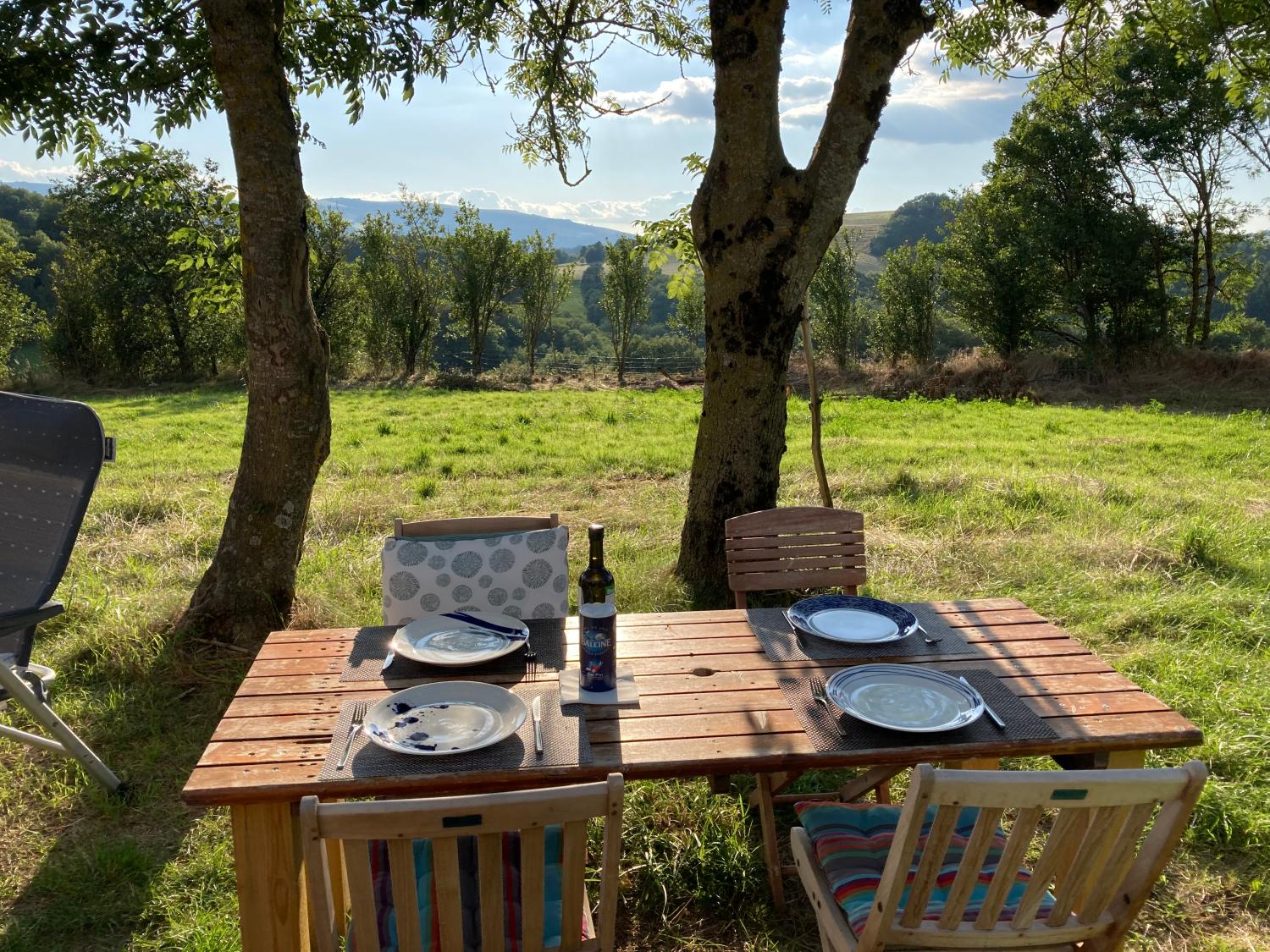  for sale farm Saint-Sernin-sur-Rance Aveyron 25