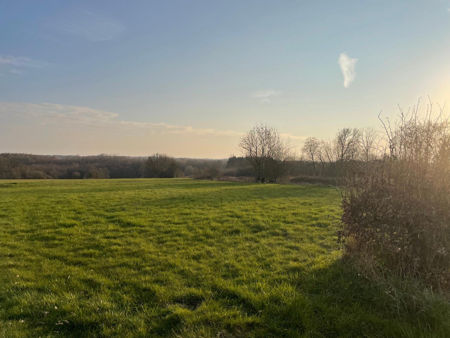 for sale building land Taillette Ardennes 3