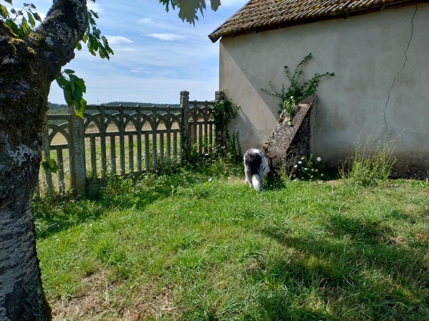 for sale farm Uxeau Saône-et-Loire 8