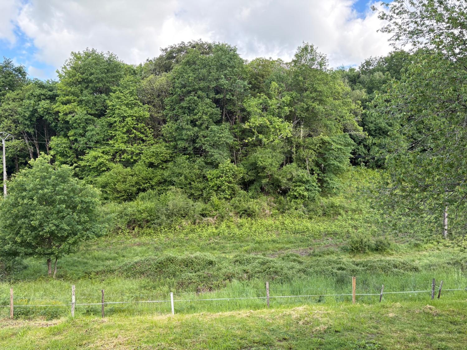  for sale farm Coussac-Bonneval Haute-Vienne 5