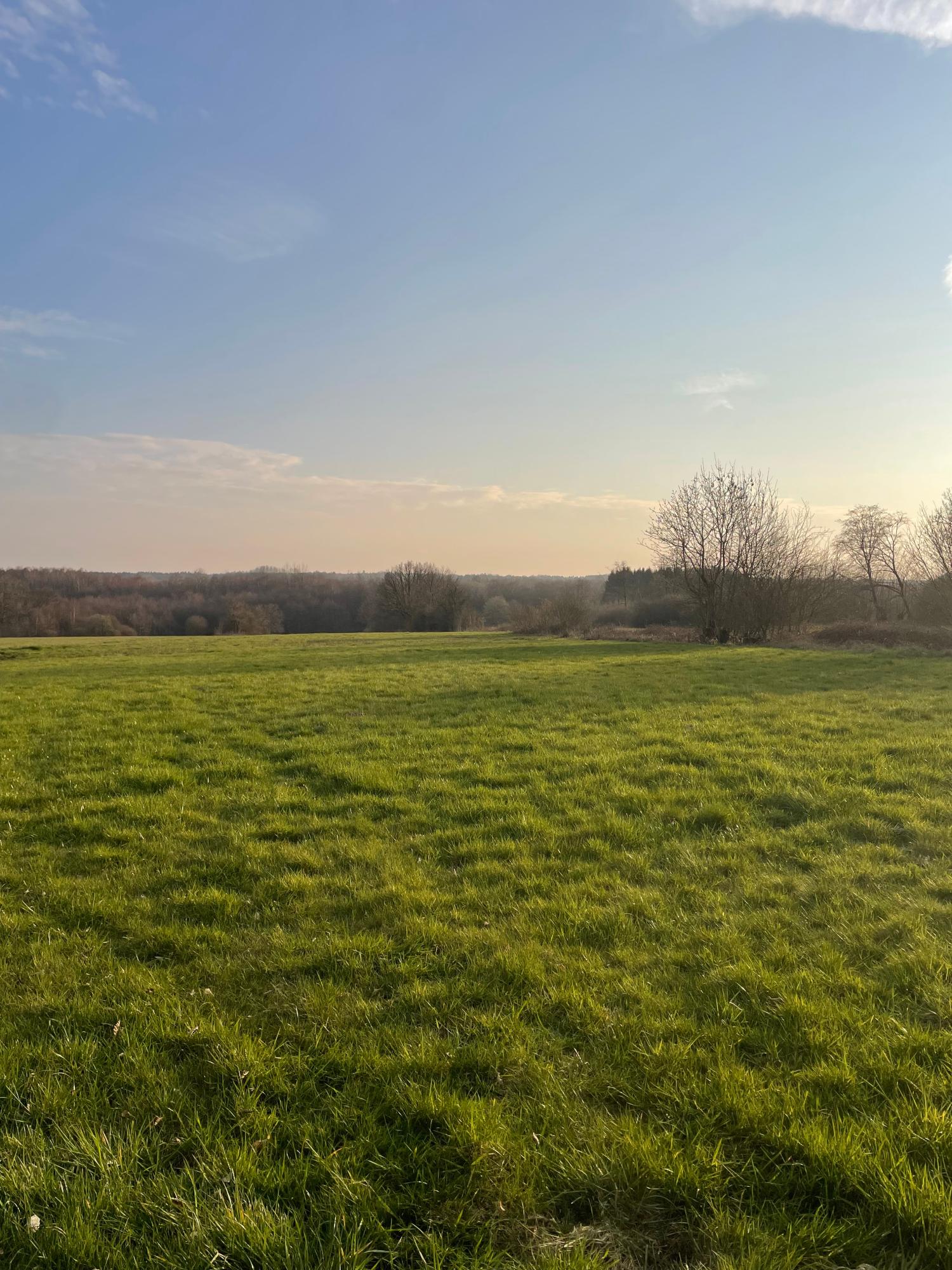 for sale building land Taillette Ardennes 2