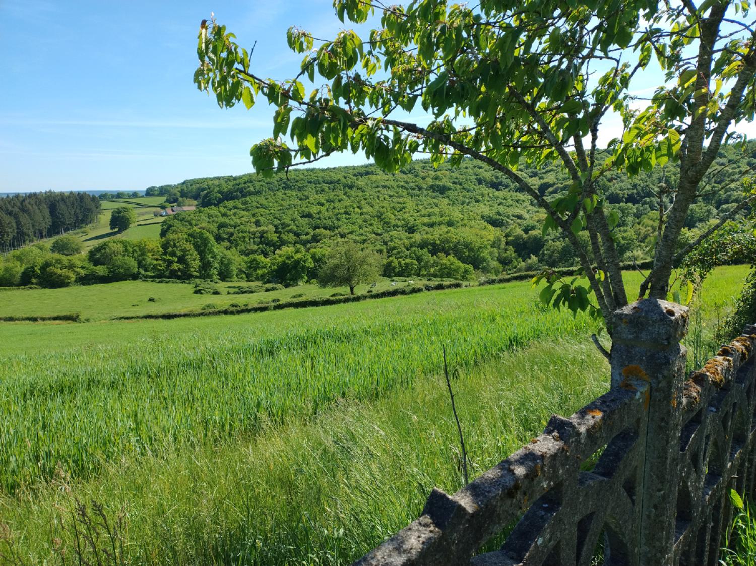 for sale farm Uxeau Saône-et-Loire 9