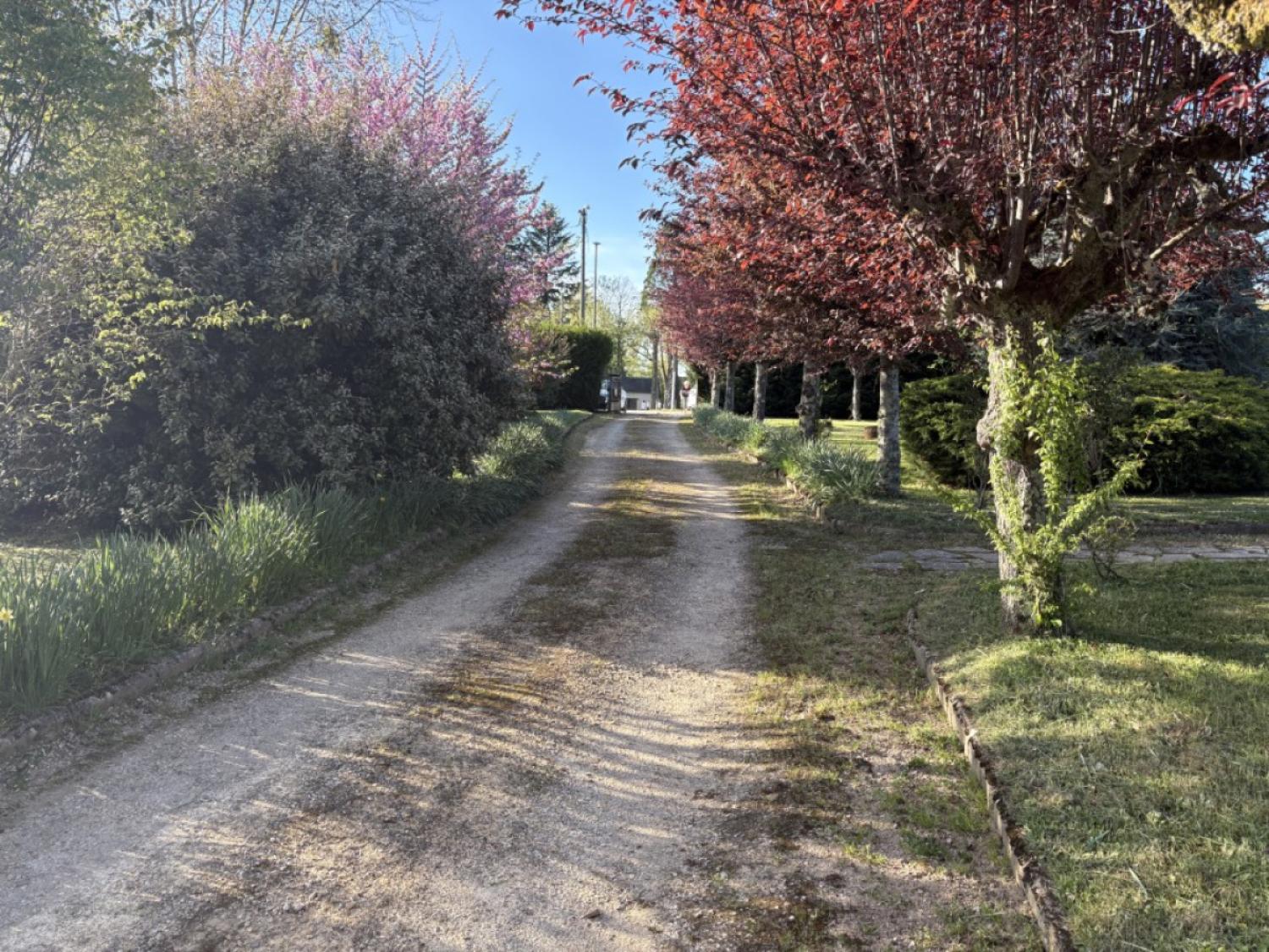 for sale detached house Lubersac Corrèze 4