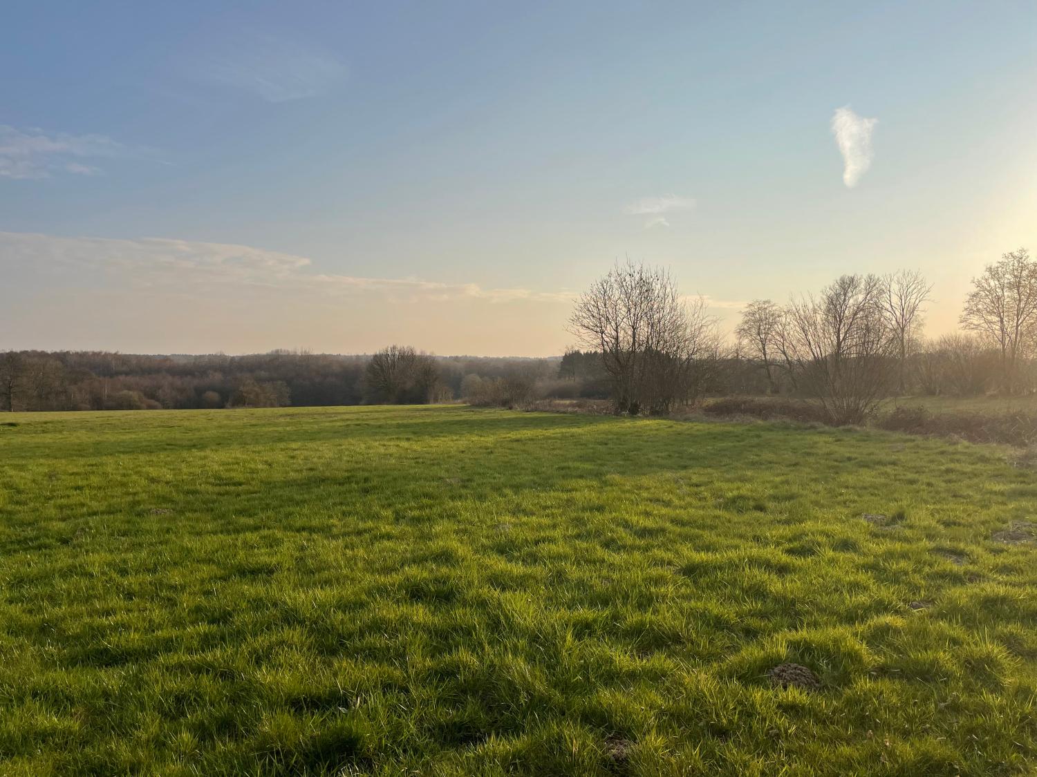 for sale building land Taillette Ardennes 1