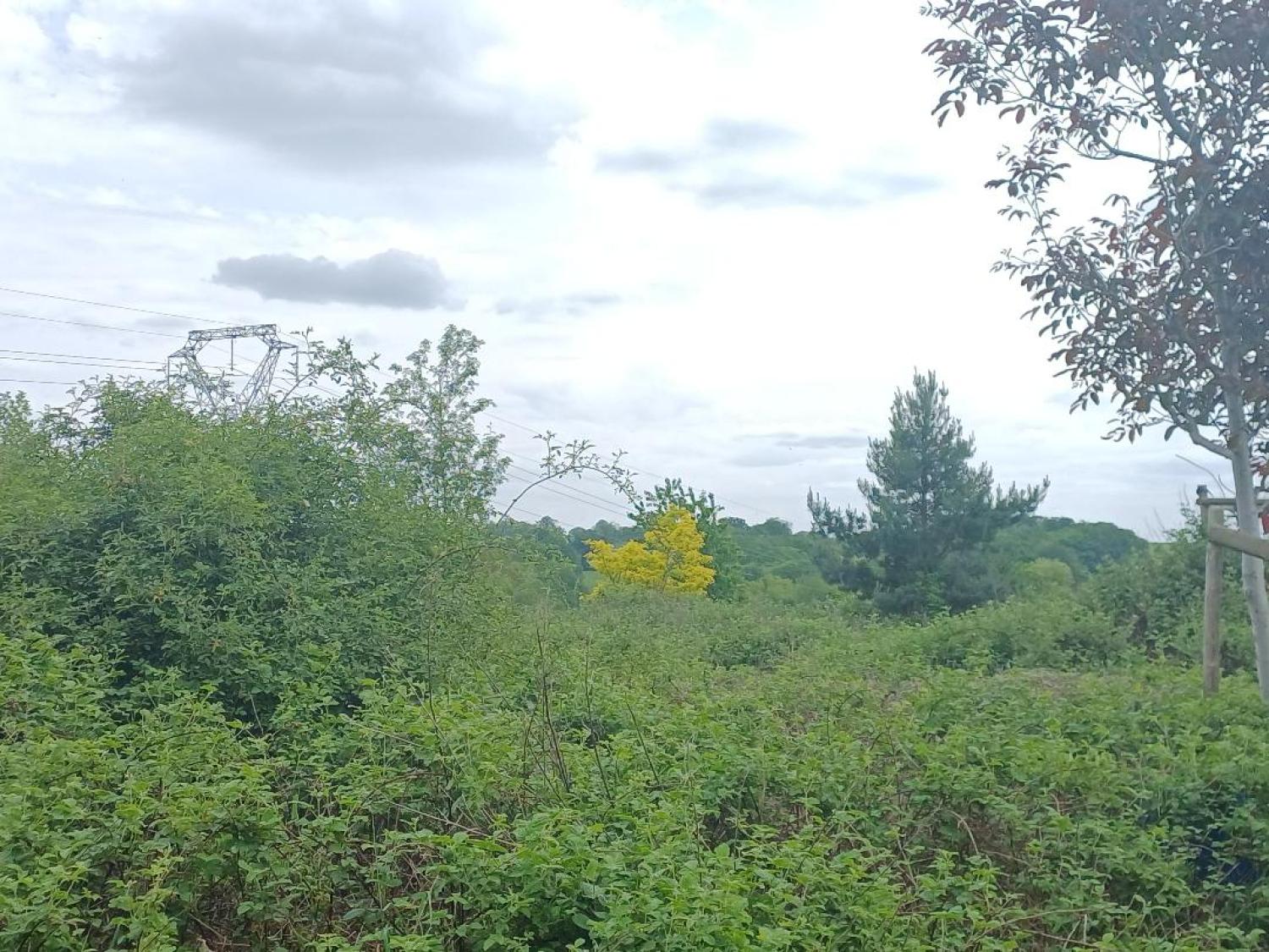  for sale house Saint-Plantaire Indre 11