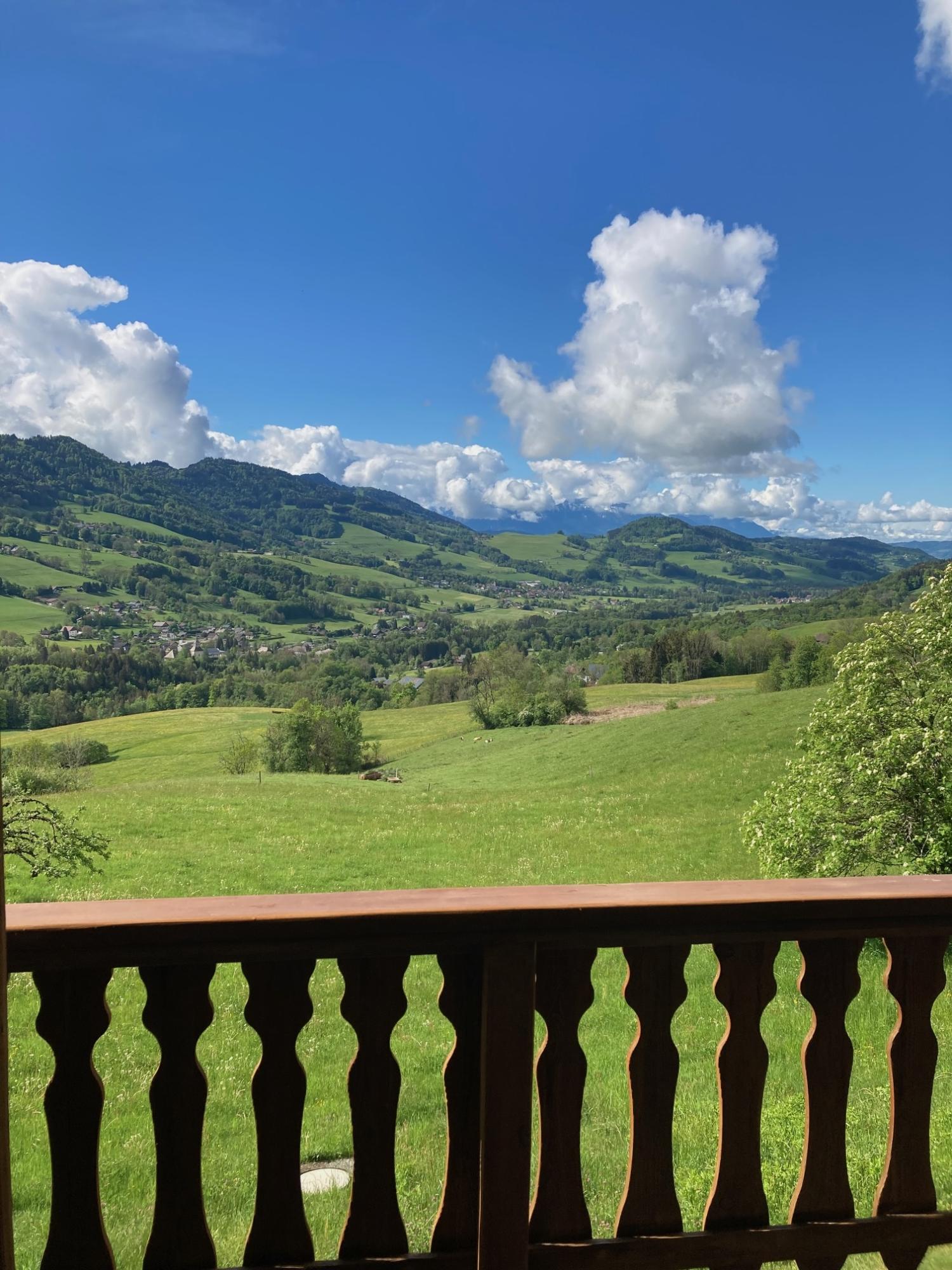  for sale farm Habère-Poche Haute-Savoie 3