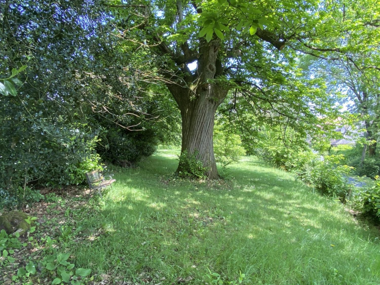 for sale detached house Juillac Corrèze 19