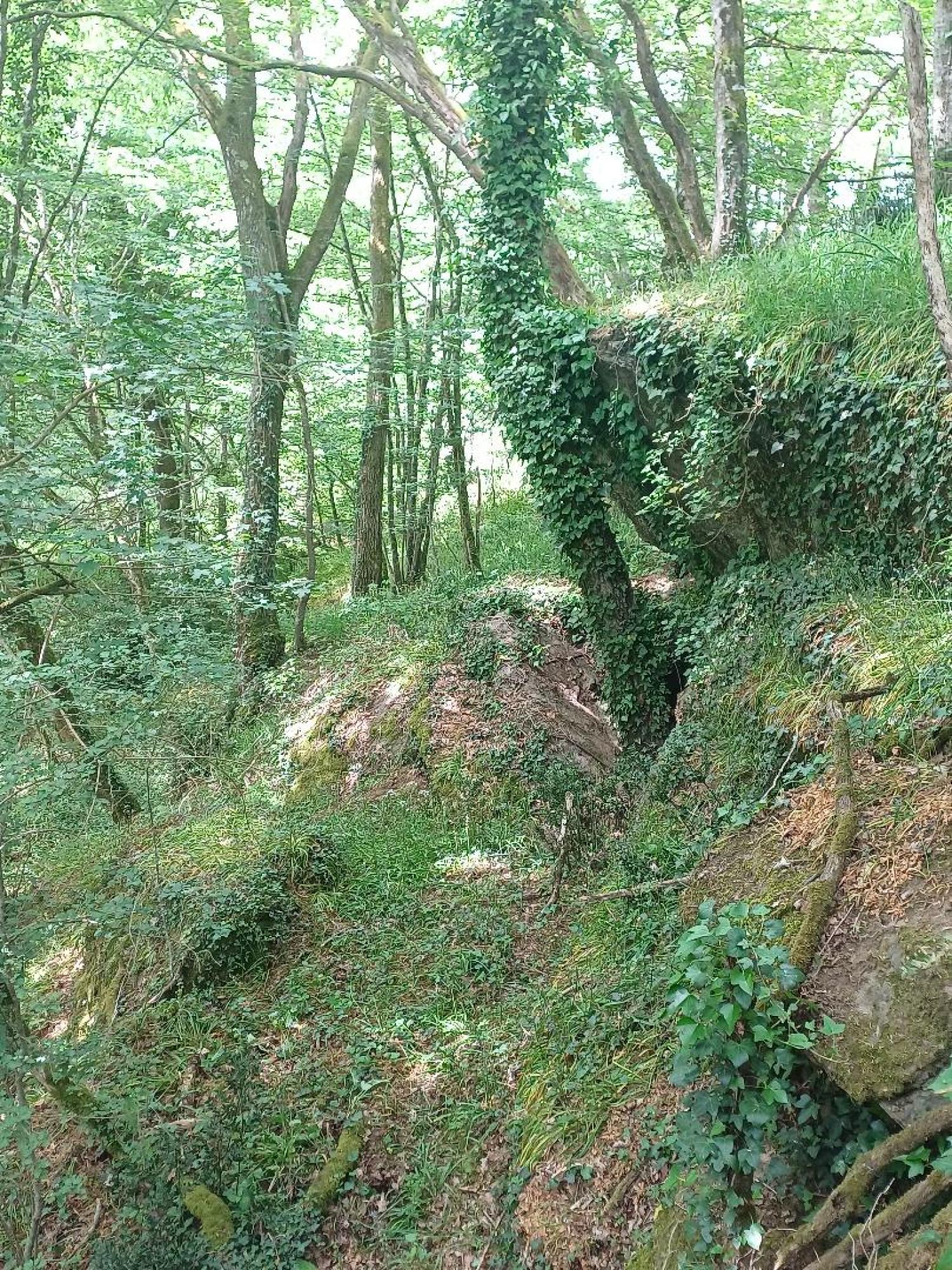  for sale house Saint-Plantaire Indre 31