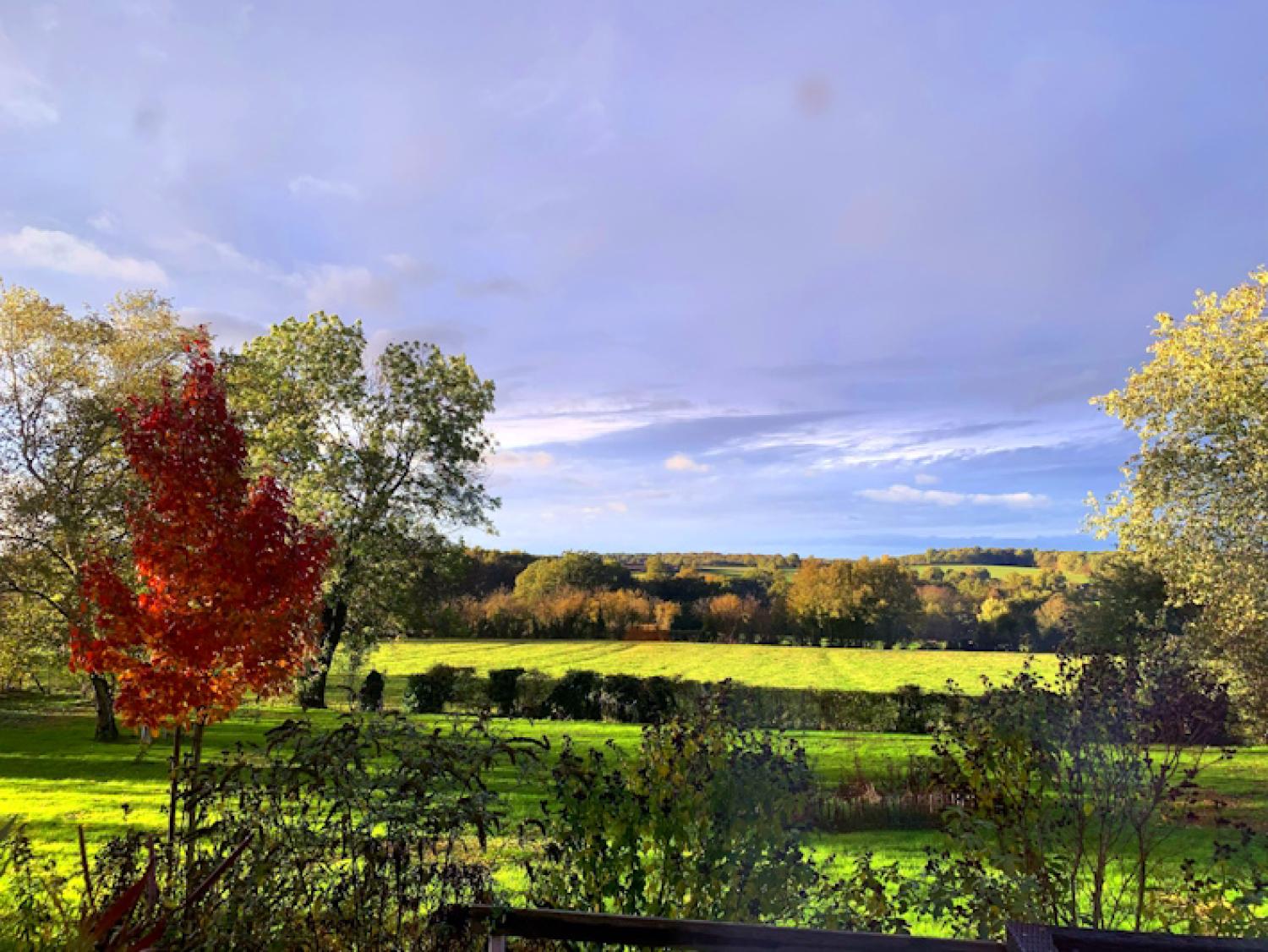  for sale detached house Cronat Saône-et-Loire 28
